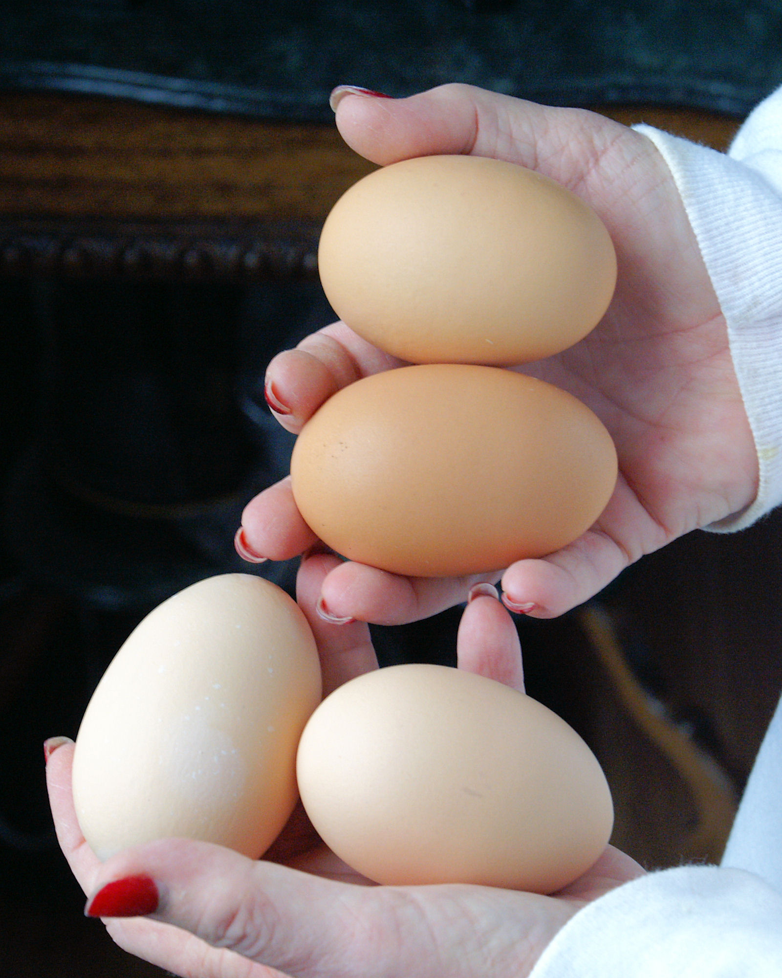 We got three of these 'mega-sized' eggs on the same day.  The BSL hens had just started laying in early December 2012 and these were collected about a month later.  The one weighed over 3-1/2 ounces according to Teresa's food scale.
