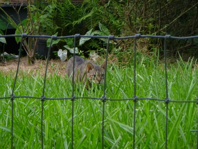WE had a stalker at the photo shot O.O
