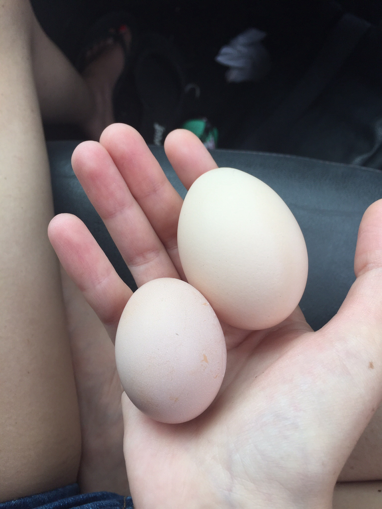 We have a new layer!