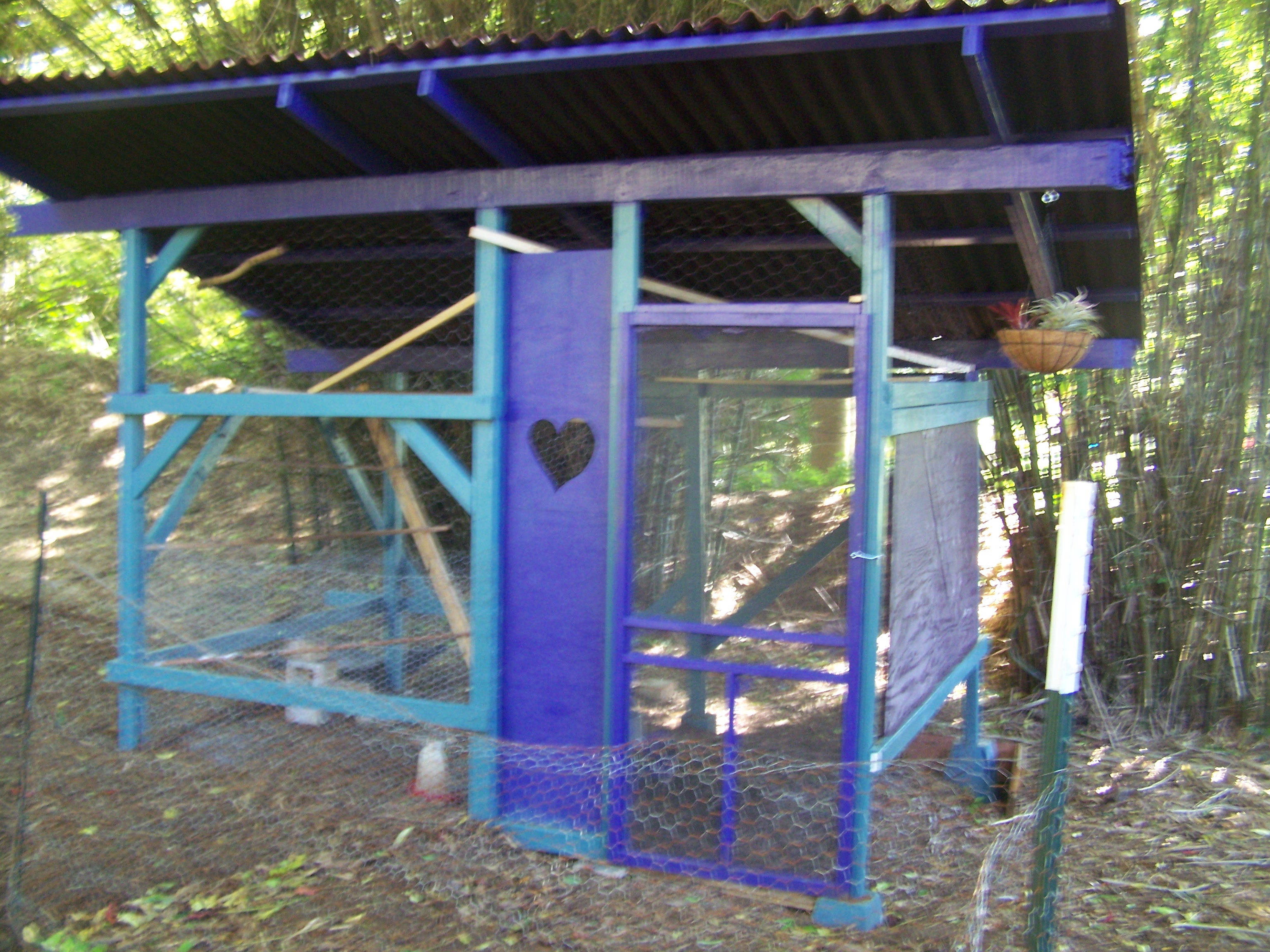 We have a plywood windbreak on one wall and the other three are finished with chickenwire fencing for plenty of ventilation.