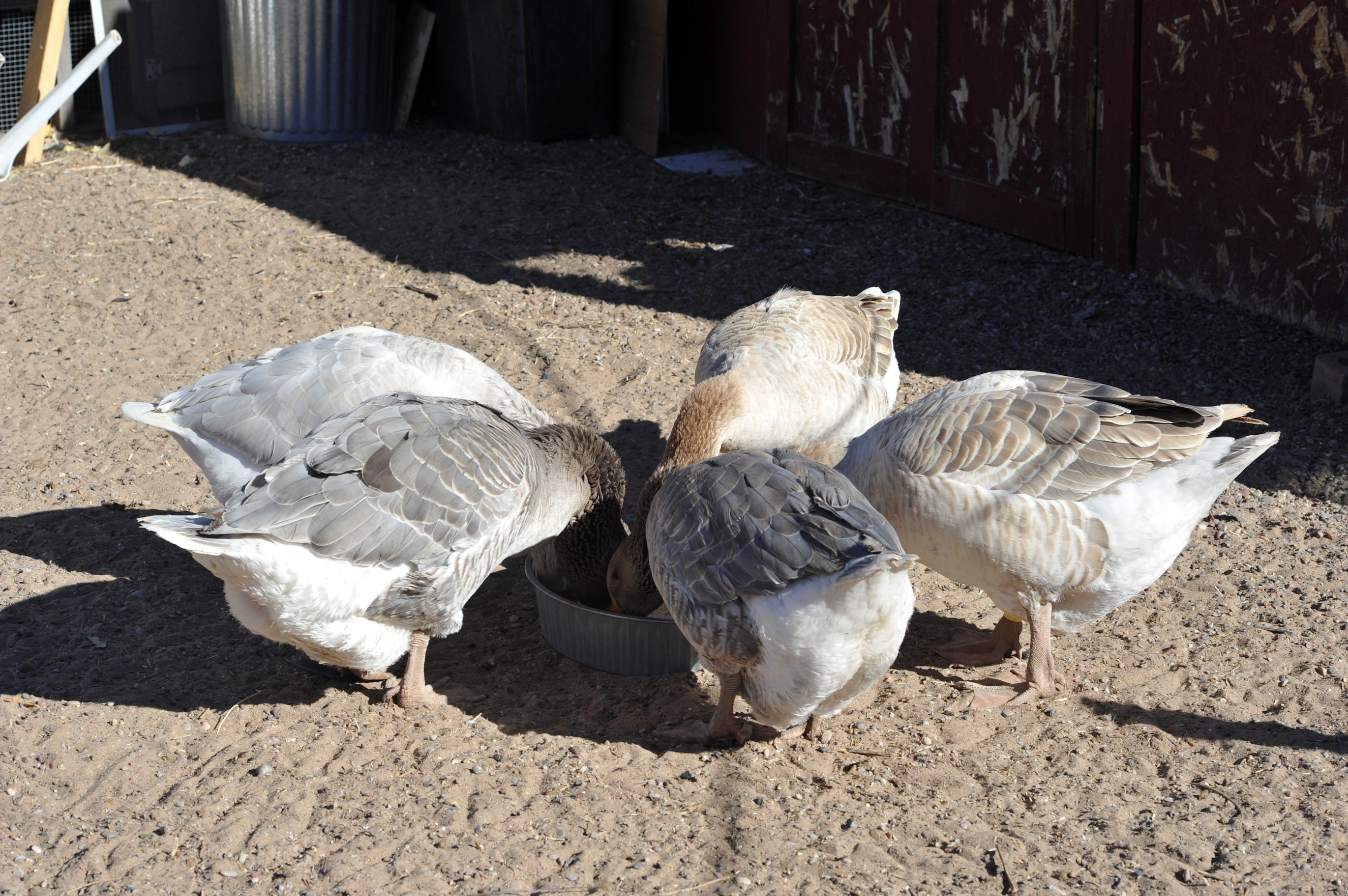 We have a quorum, methinks