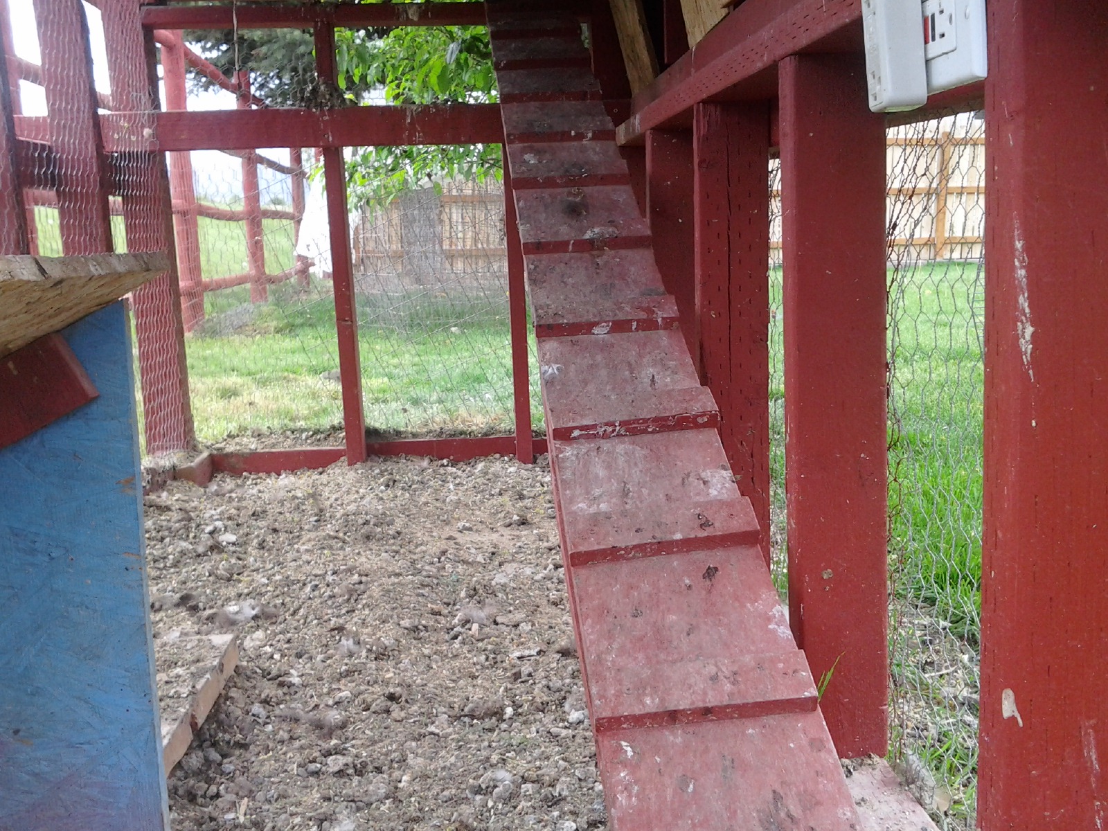 We have chicken wire under the coop to keep out the varmints. We have about 4 in. of dry powder dung on top of the wire now that has accumulated for a year. Time to scoop and the poop and put on the garden.
