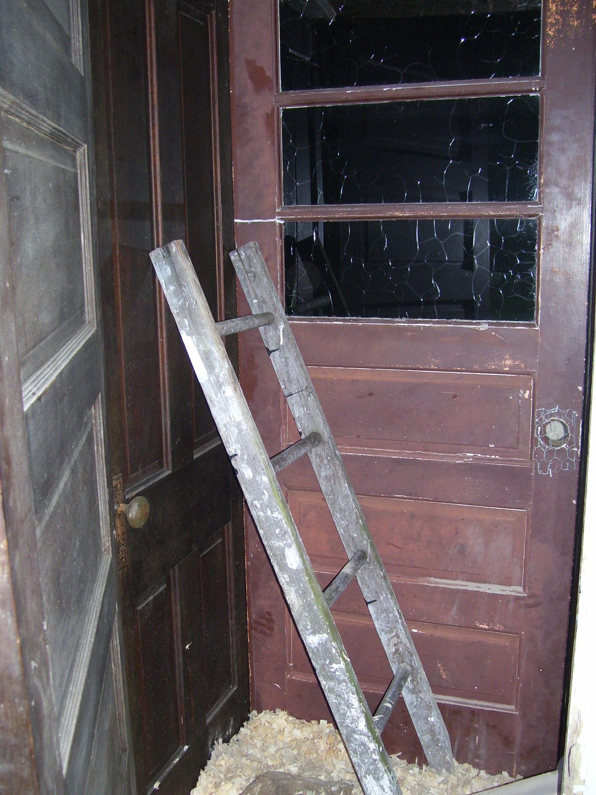 we have replaced the ladder with a different perch that goes across the entire rear of the coop...more pics later...we house 1 cockrel and 4 pullets in this coop :)