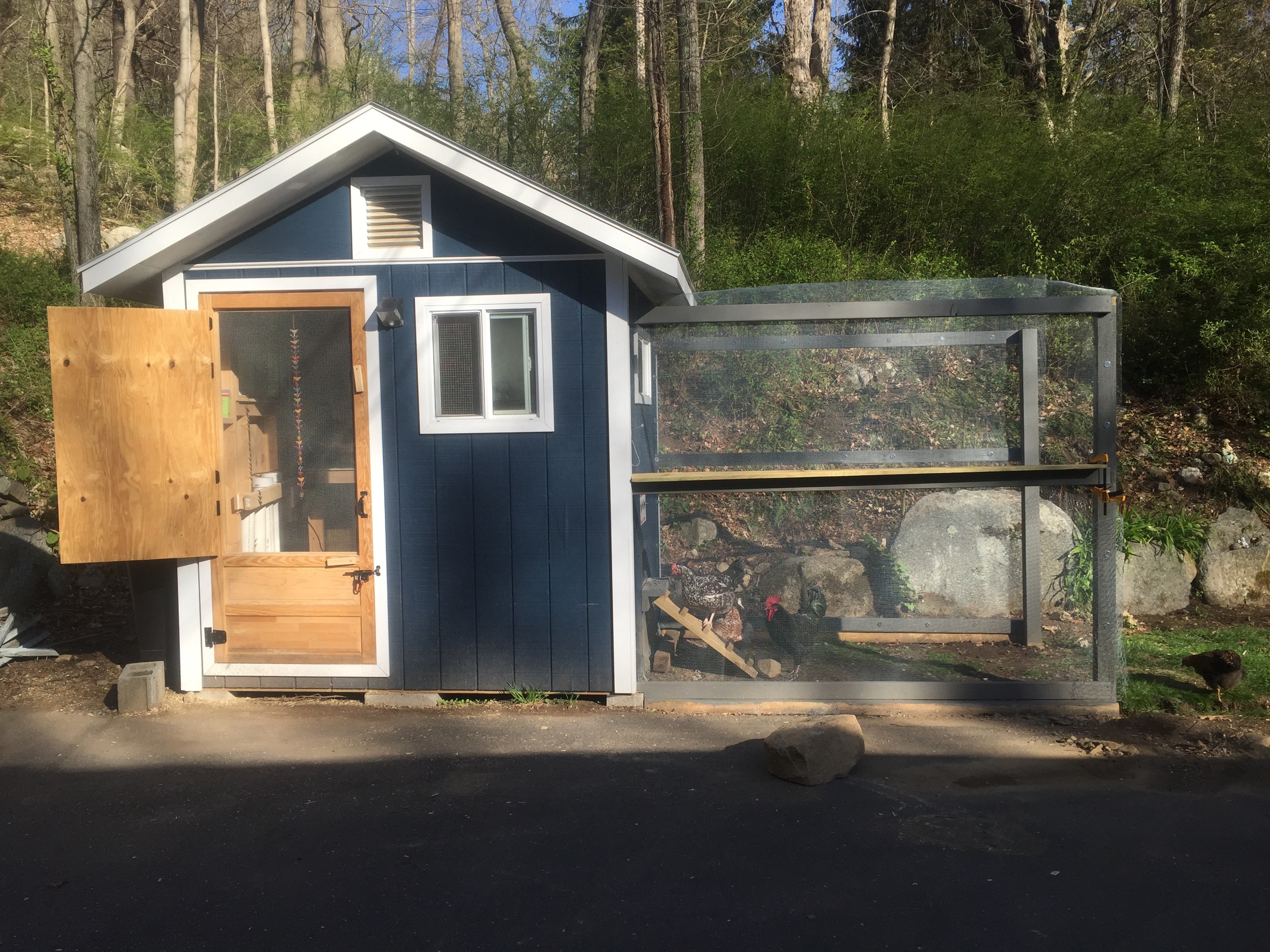 We left the right side wall of the coop open for a while because we want to double the length of the run but winter caught us and we ended up building doors on the end to close it off for now.