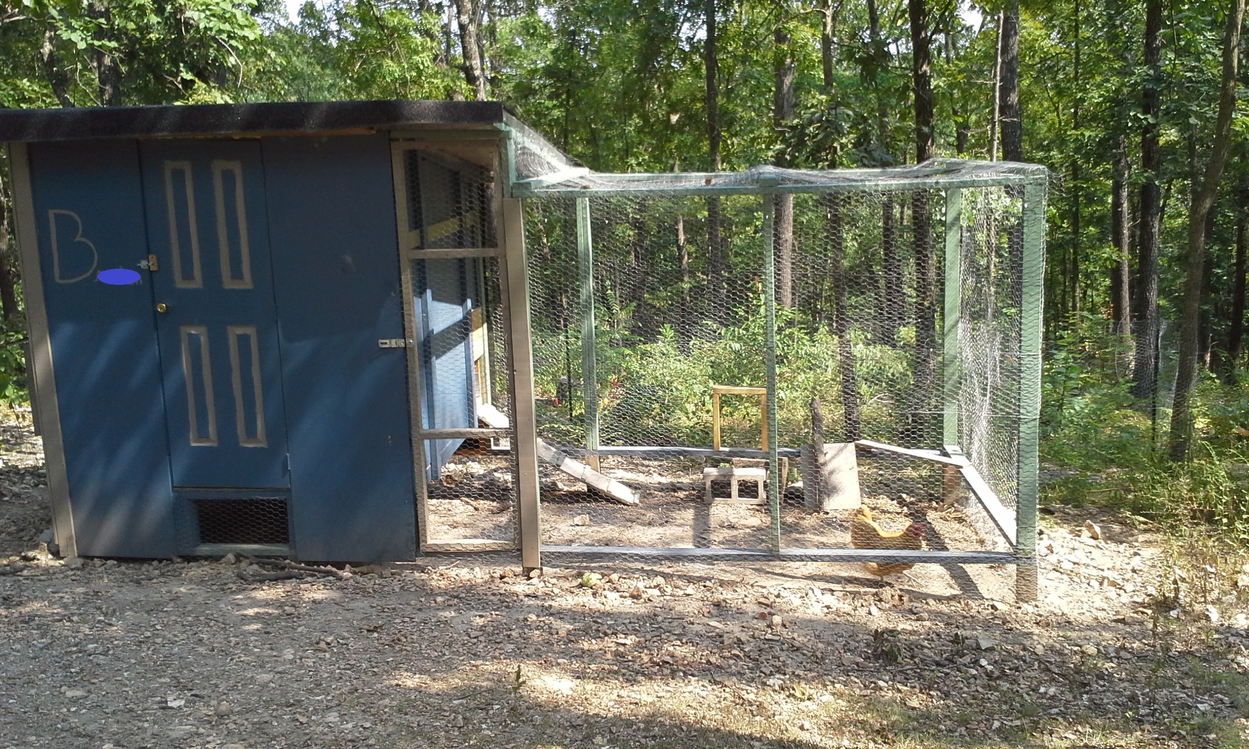 we made a little chicken door on the back of the run to enter an uncovered fenced in area. This is used during work.