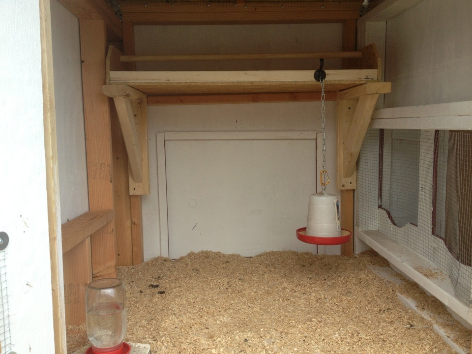 We made a roosting box for the coop and the girls just love it.