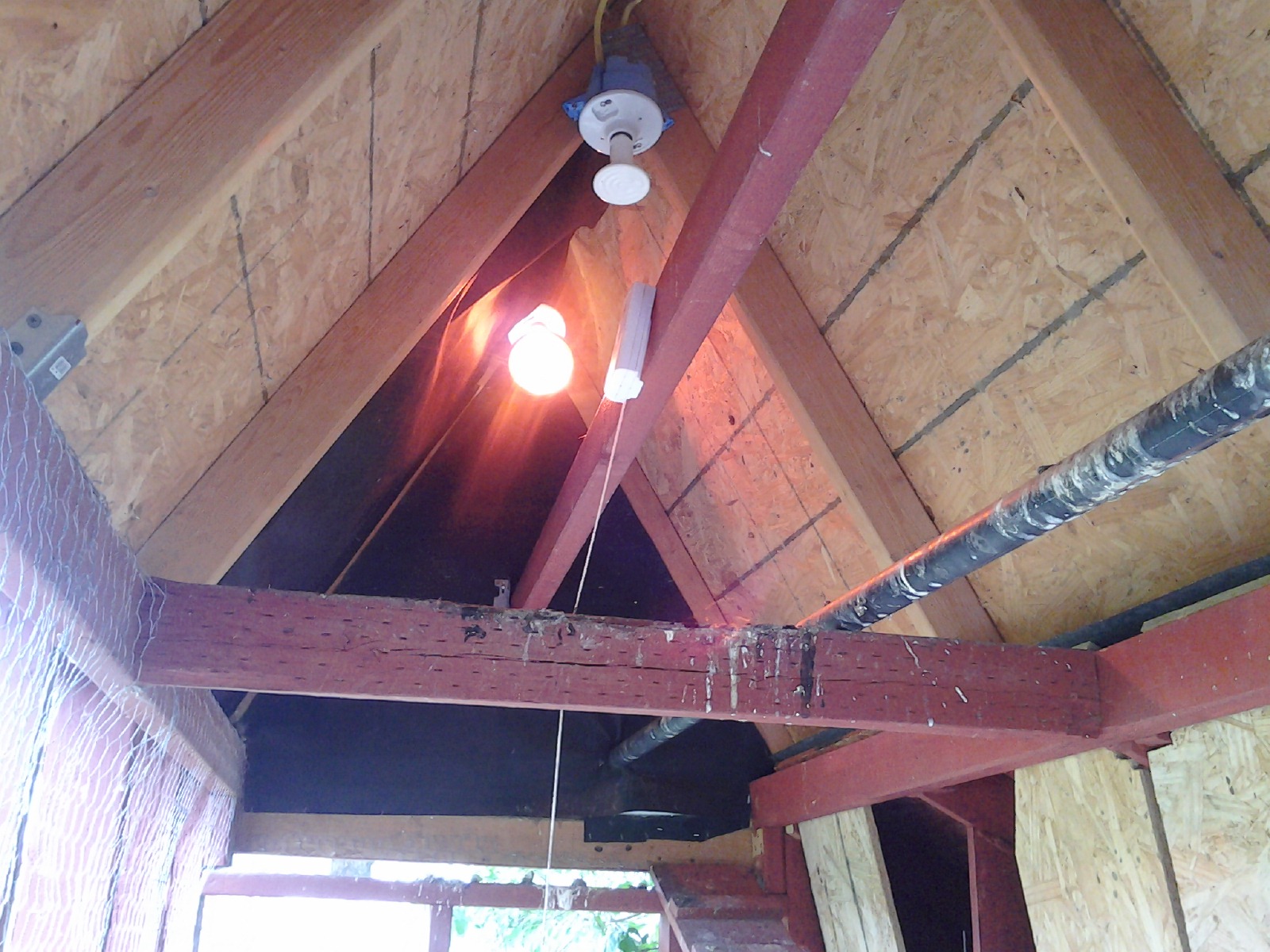 We may insulate for next winter.  We have a remote thermometer that tells us the temperature at their feel level. We can turn on three sets of lights or heat lamps.  We have two reptile lamps, porcelain, and eventually these burn the feathers off of their back.  We will change to regular light bulbs and keep two of the heat lamps that are no problem.