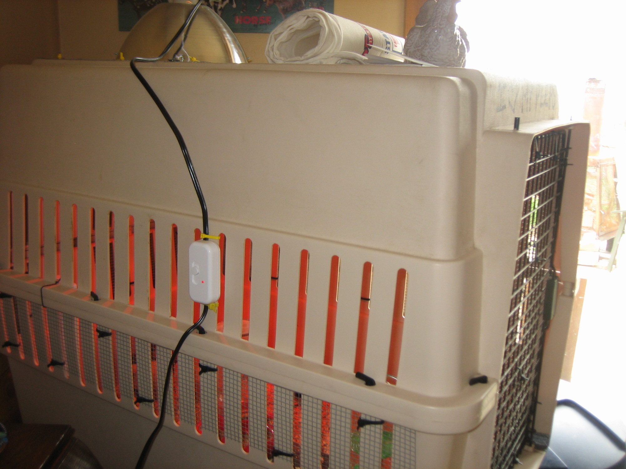 We put an inline dimmer switch on the heat lamp to adjust the temp.