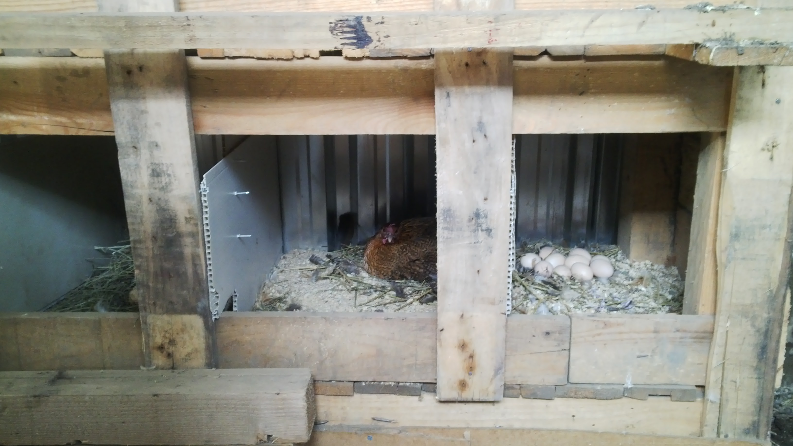 we shall wait... upon her return