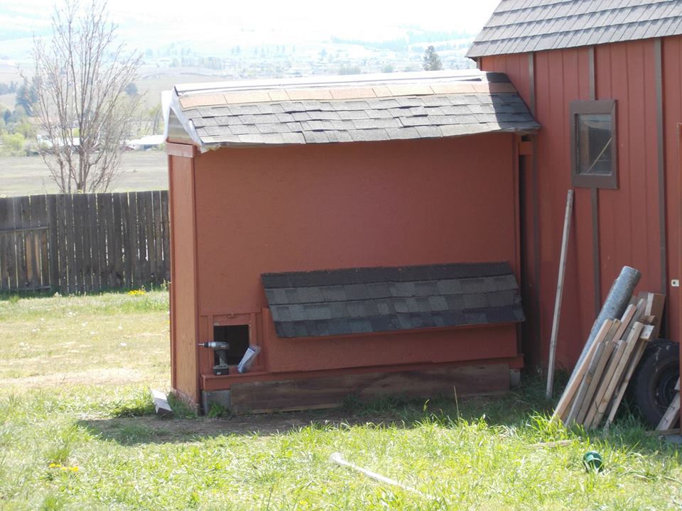 We shingled the roof of the coop and the nesting boxes with leftover shingles and some that we picked up at Home Resource.