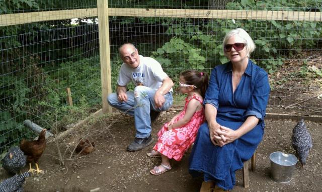 We started to wear sunglasses to protect our eyes after one of the barred rocks pecked me in the eye. No harm intended but it was a very deep hole and needed daily trips to the eye doctor for about a month. Got infected, needed drops and cost about $1000!  No more chickens on my shoulder...