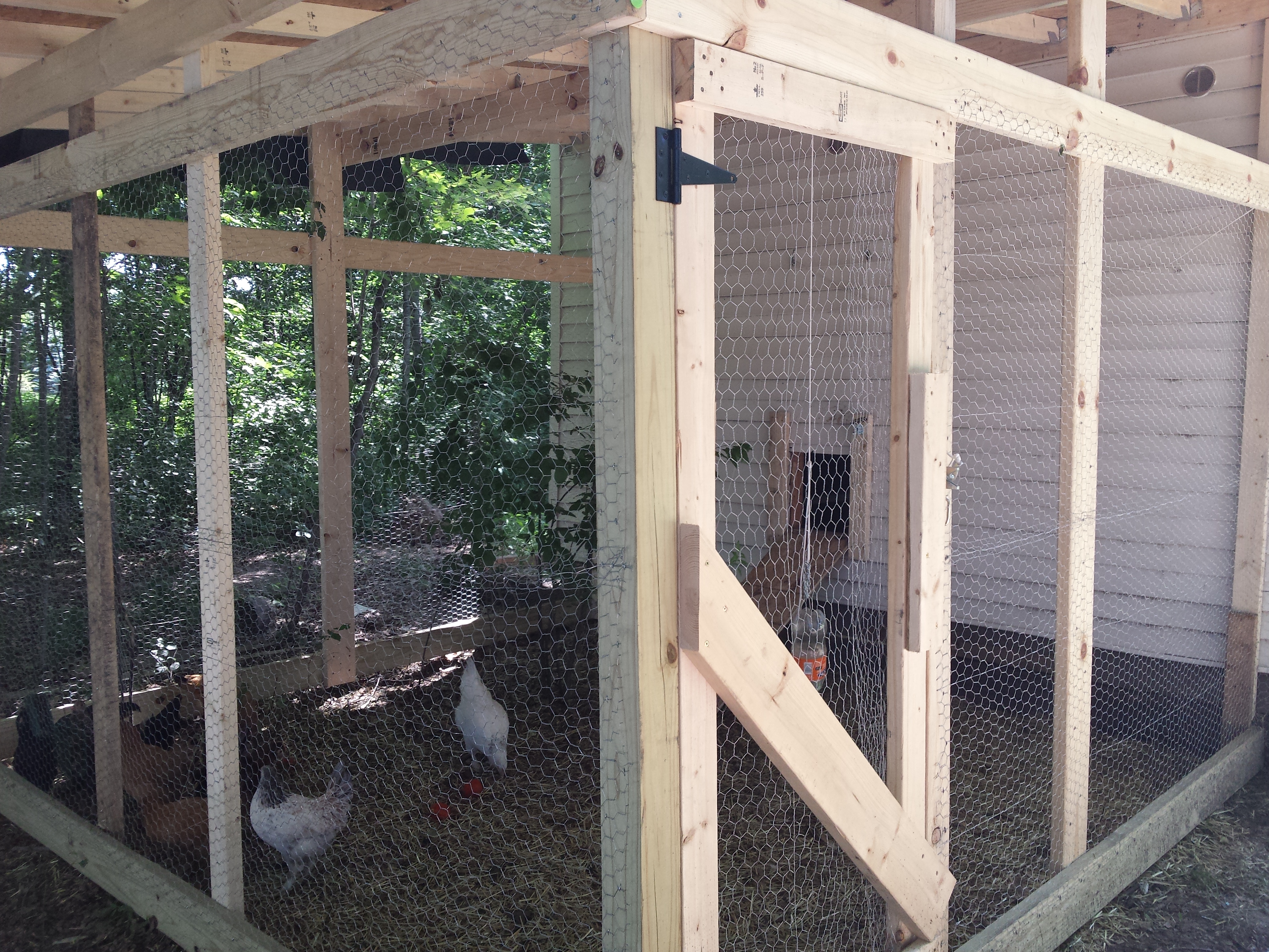 We still have to finish fencing the top and dig some wiring below the coop