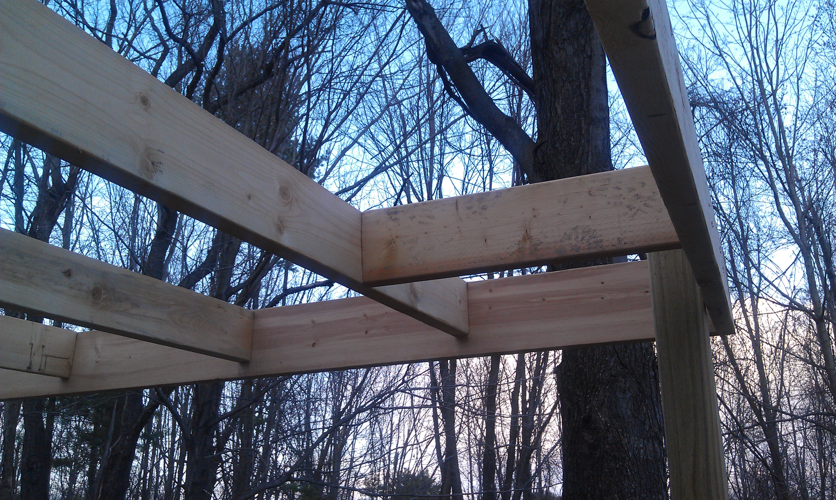 We then started to frame the rest of the roof. These are small pieces of wood wedged in between the pieces of wood that were going across the roof. This will give it extra support for when it snows.