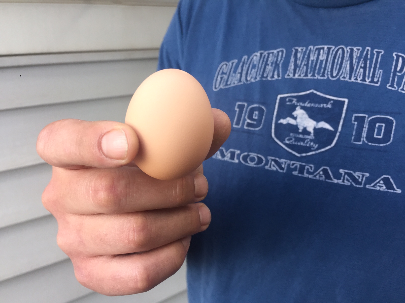 We think both of these brown eggs are from Ocean, the Black Australorp.
