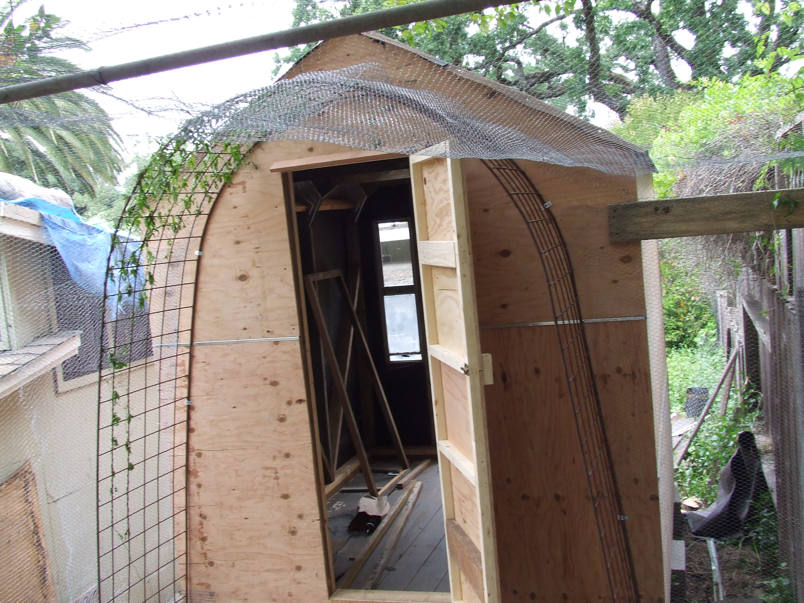 We took an old trellis from another part of the property and moved it over  the rear coop door to prevent the chicken wire from hitting the door when it was opened. You can also see a metal pipe that was placed over the center of the run to help hold up the chicken wire there.