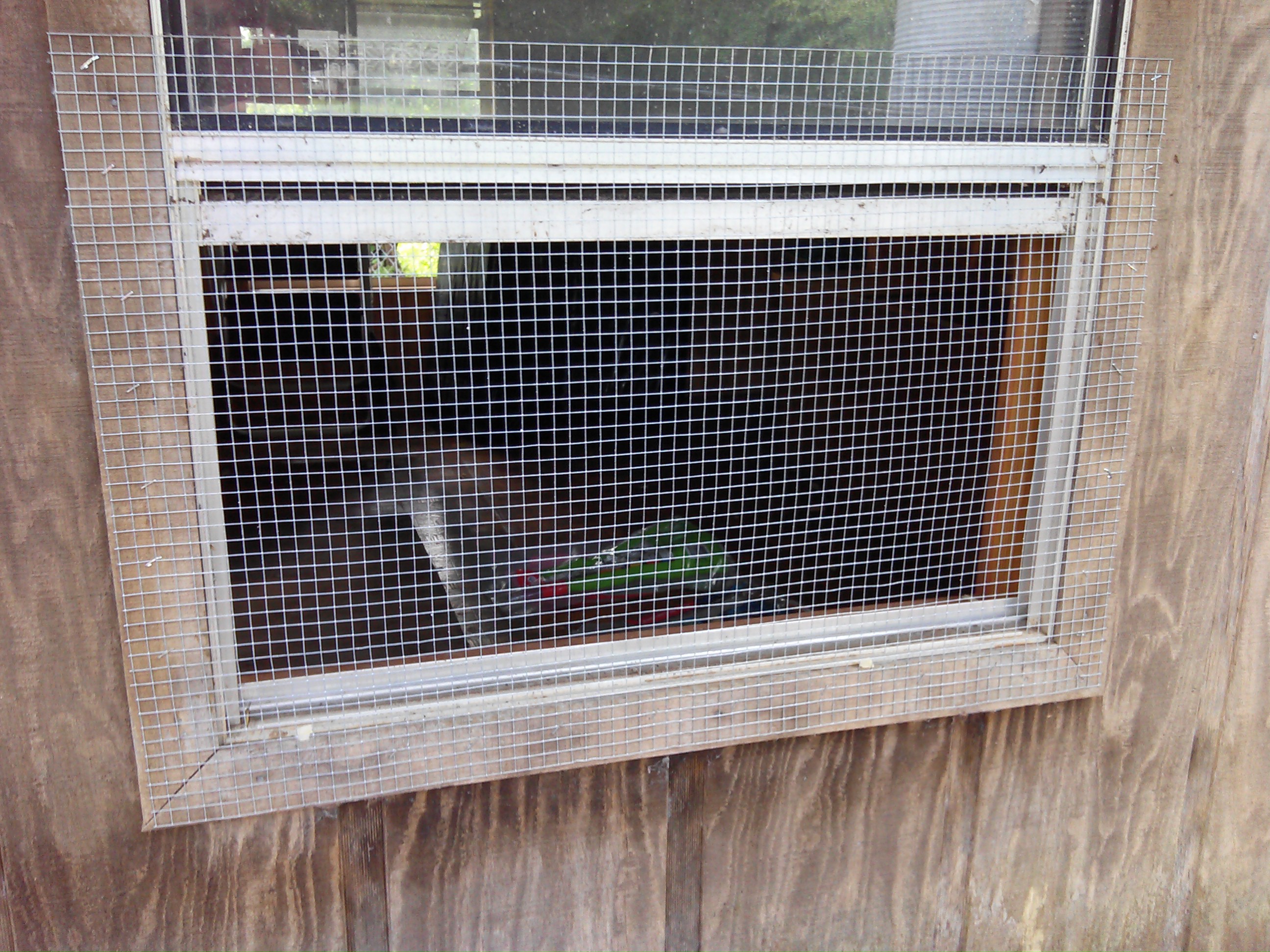 We took out the screens and attached hardwire cloth to make the windows more secure and allow air to flow through the coop.