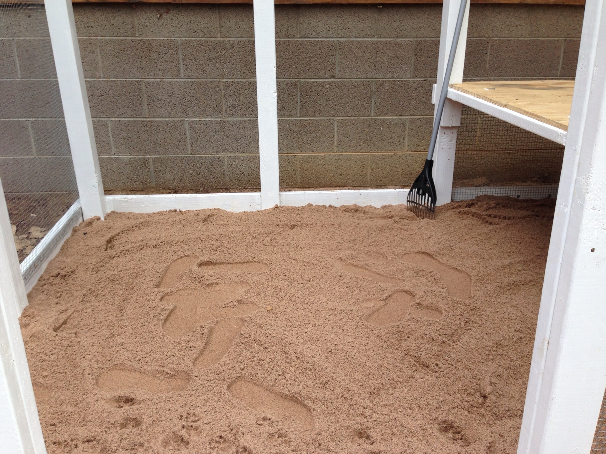 We used gravel to level the ground then sand over that for easy clean-up.