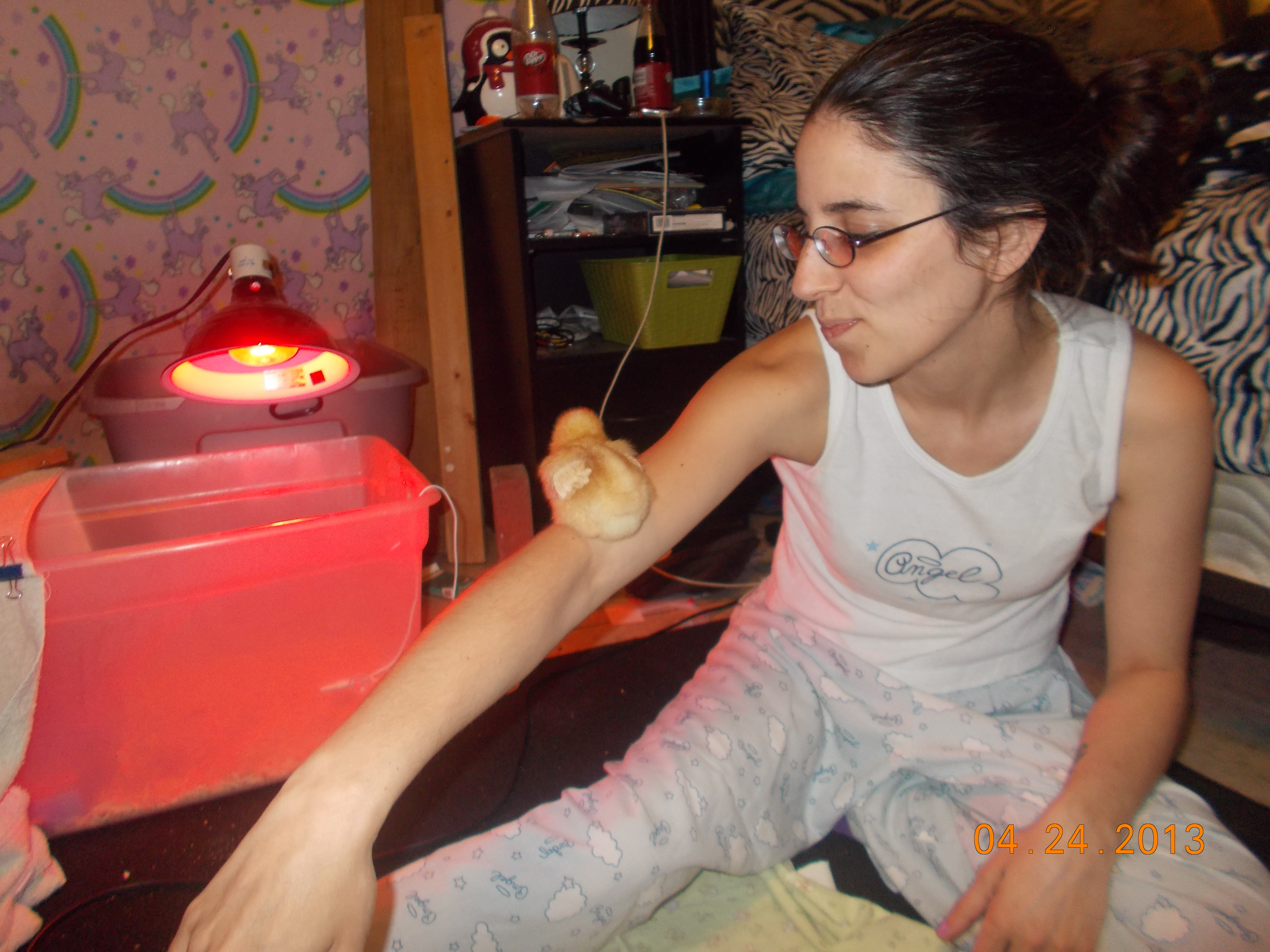We were TRYING to put them back in their brooder... Pru decided to climb my arm and go to sleep!