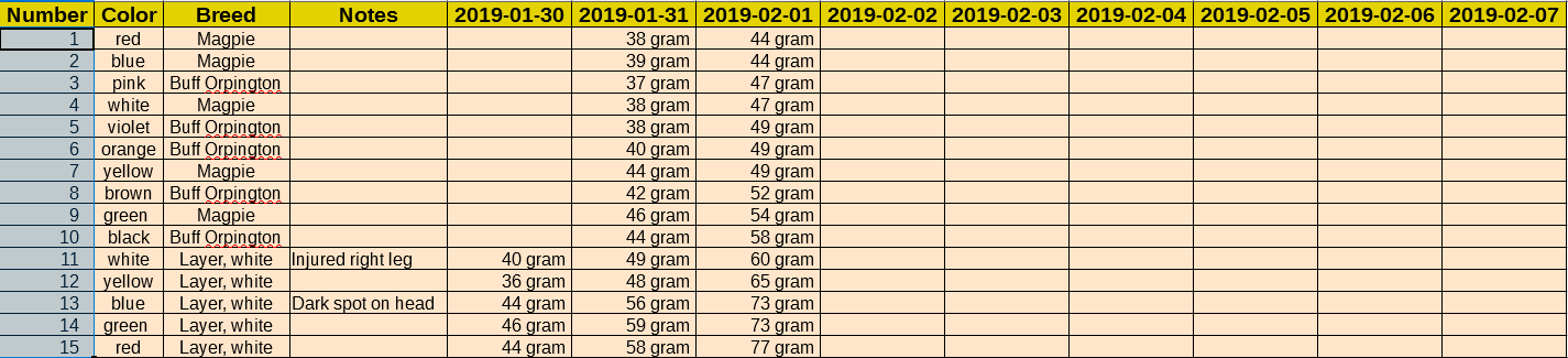 Weight Progress 2019-02-01