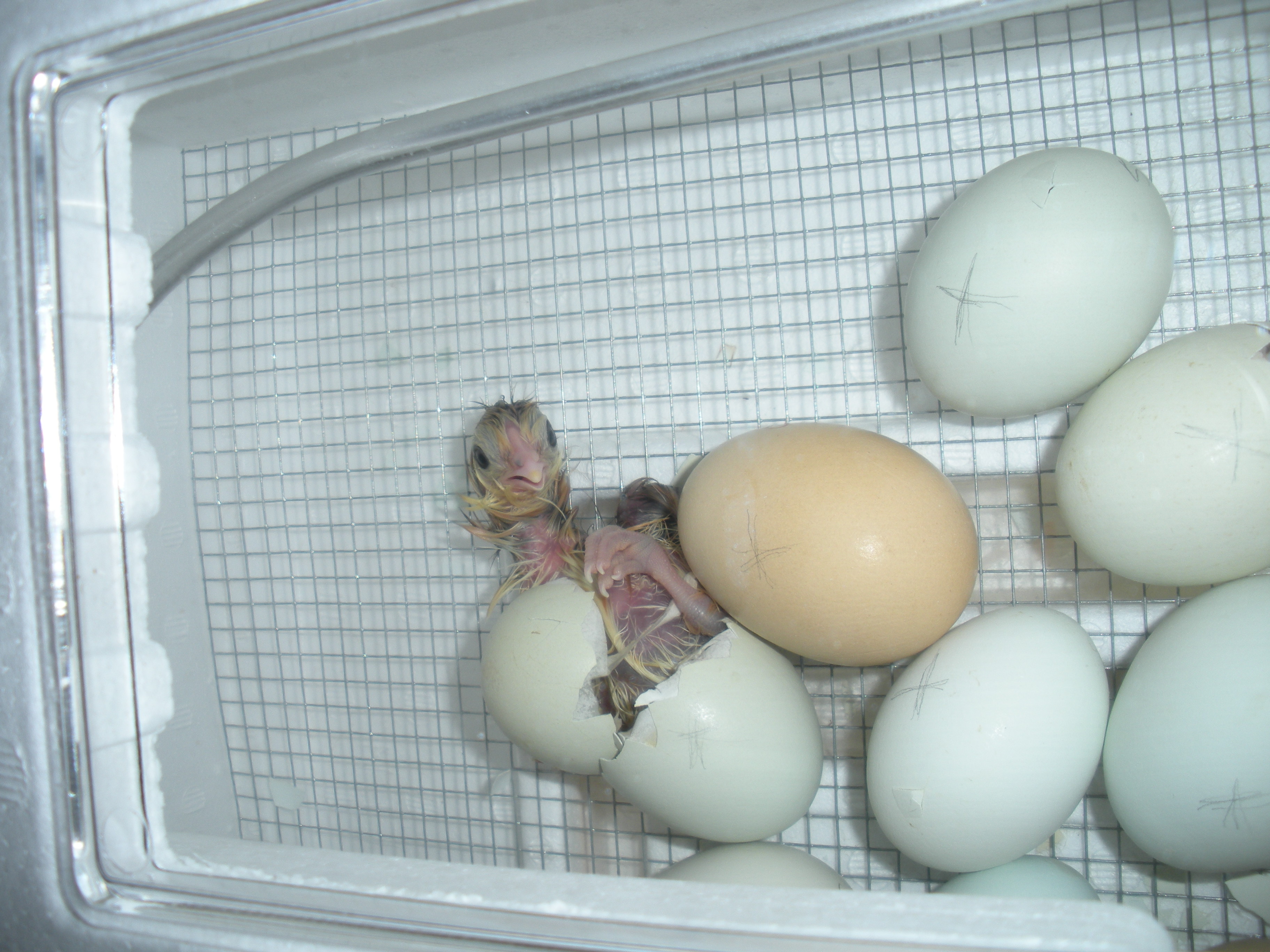 Welcome to the world! So darn cute!