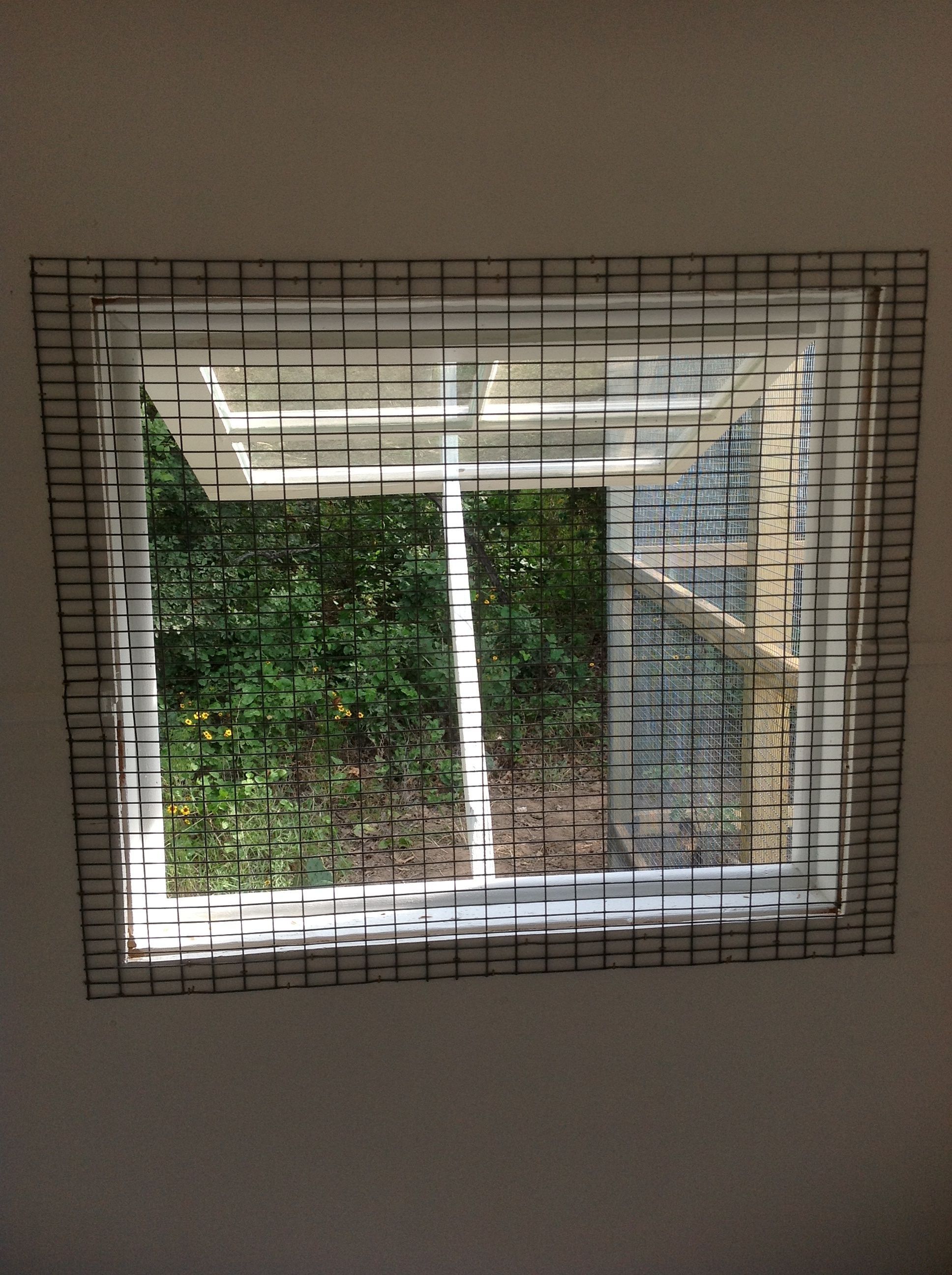 Welded wire put over all windows.