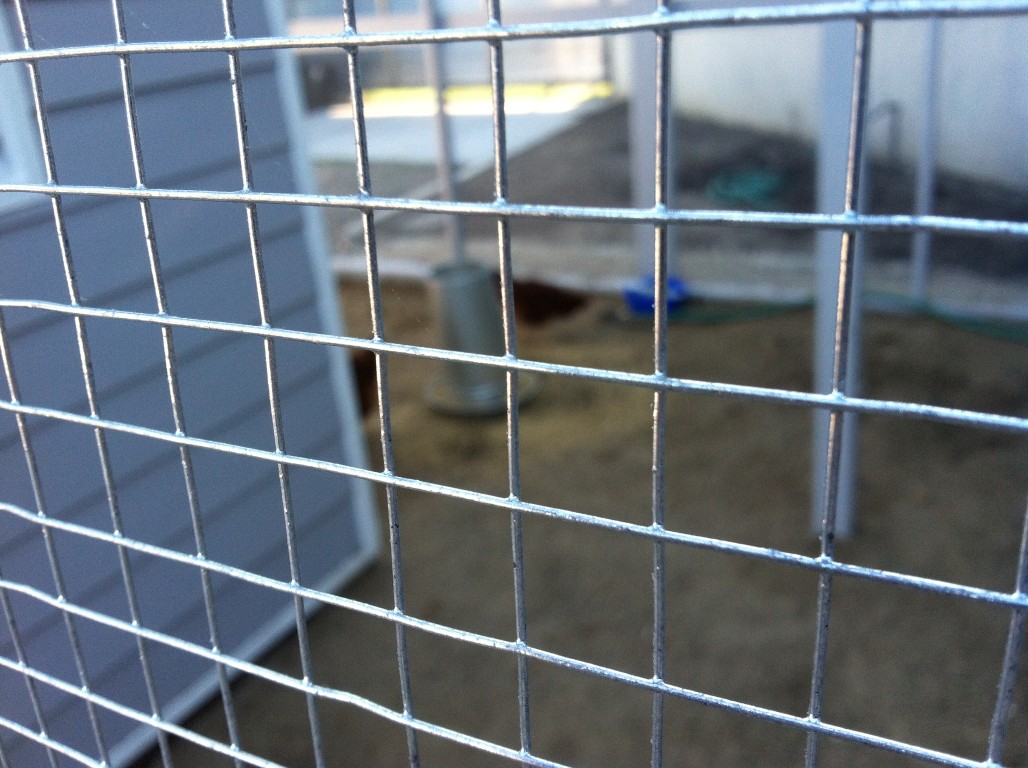 Welded Wire