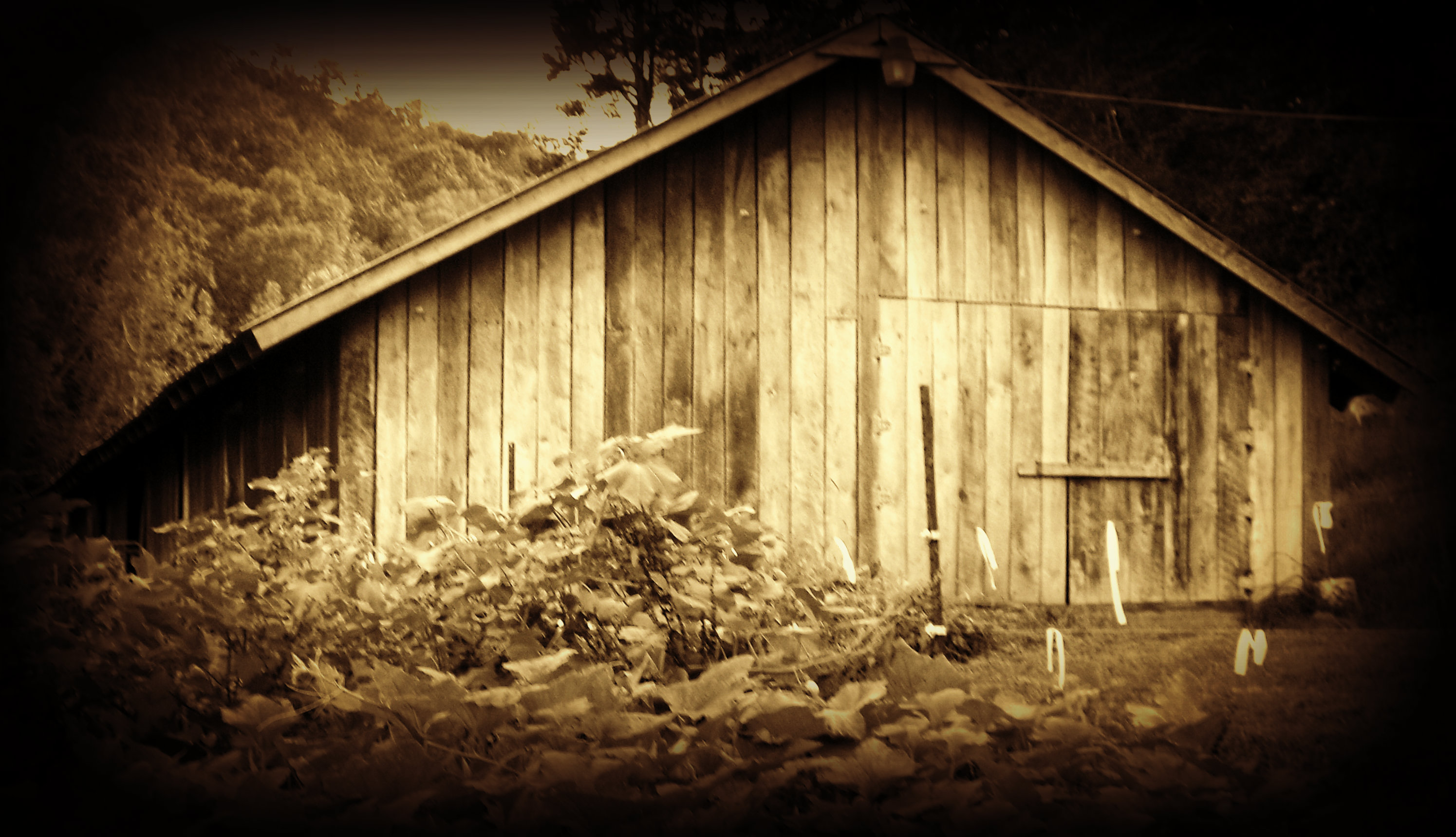 We'll start off with out lil barn!