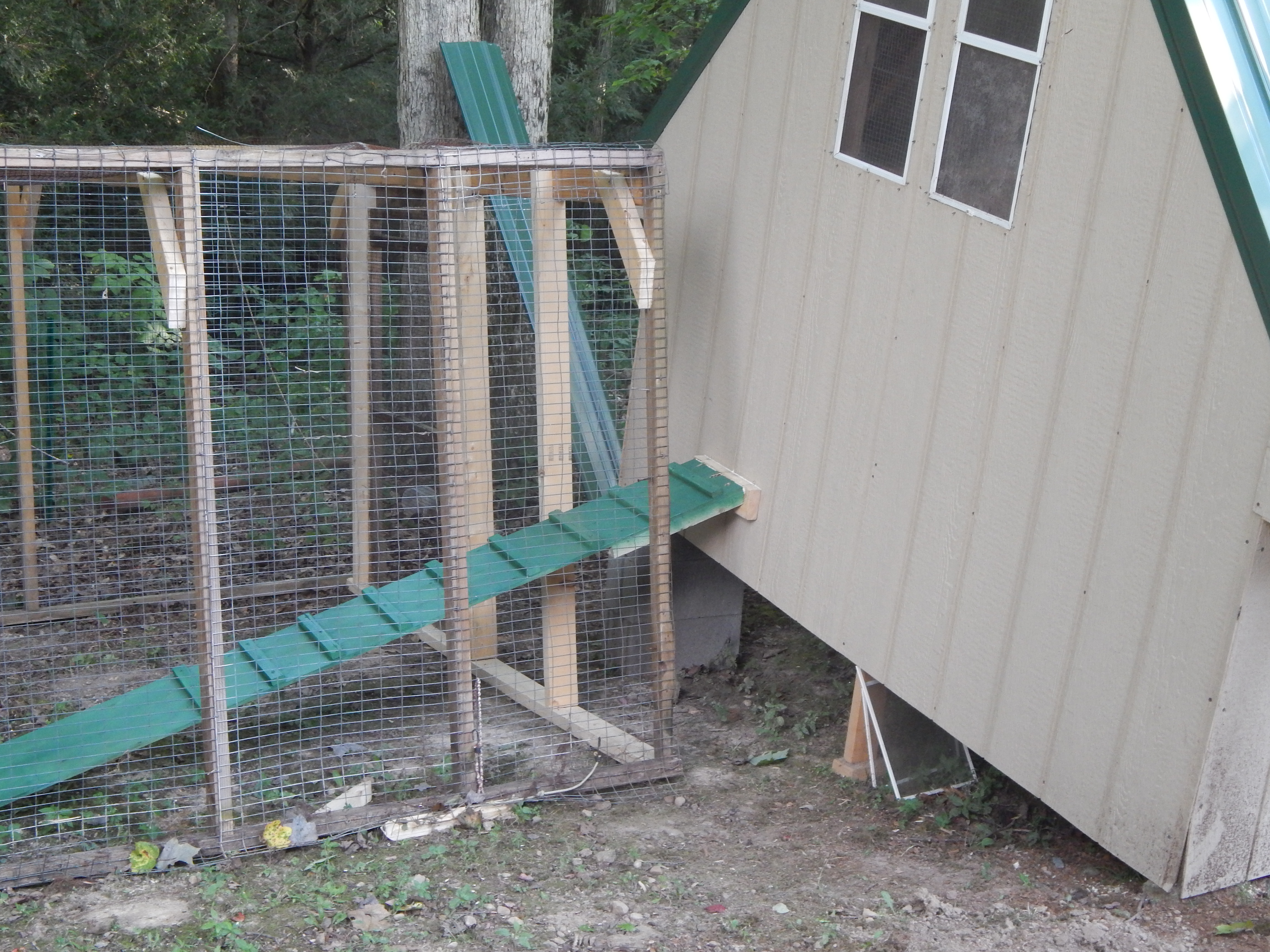 Well the ramp is on and holes drilled to cut the door out, but weather is not permitting! RAIN! I guess I shouldn't complain I didn't have to water the garden! We are not attaching the run to the building we are going to build what I keep calling a tunnel for them to get into the run. And after all this is done we are going to do all the little trim and decorating. (That's my job) If you look at the corner of the building it is sticking out a little at the bottom. We are going to jack it up and move the brick back that is blocking it from tightening down. Just a few little things to do, all and all I am proud of my hubby he has done a wonderful job! Slow but wonderful!