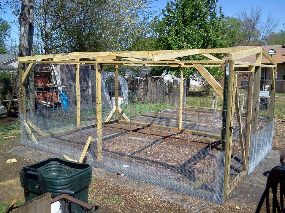 *Well worked onit for a few days. Got the frame up and supported, Door is on. Ude a piece of cattle panel that was cut off  on the one of the shorter sides.Need MORE  fencing now. Onward and upward as they say. This is one job i am enjoying. Soon the coup will be built inside. I hope after all this-my lil hens will love their girlie cave.