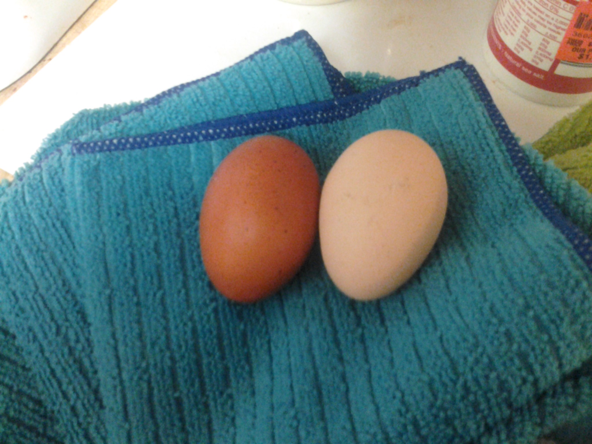 Wellie pullet egg on the left, red star egg on the right.