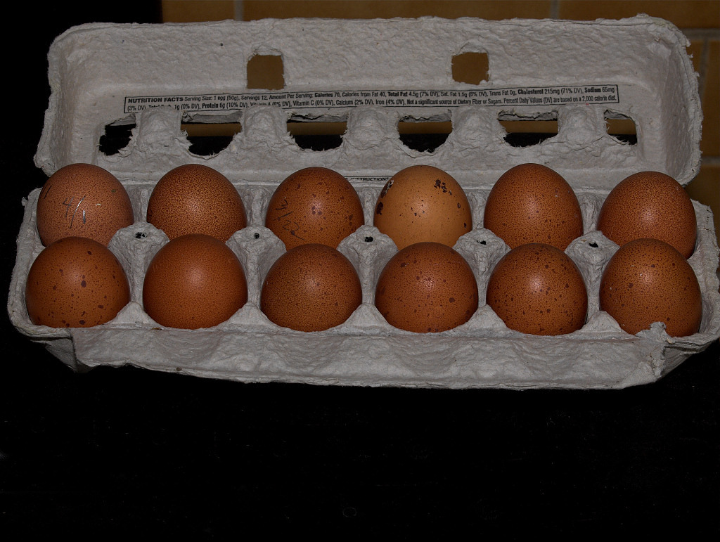 Welsummer eggs