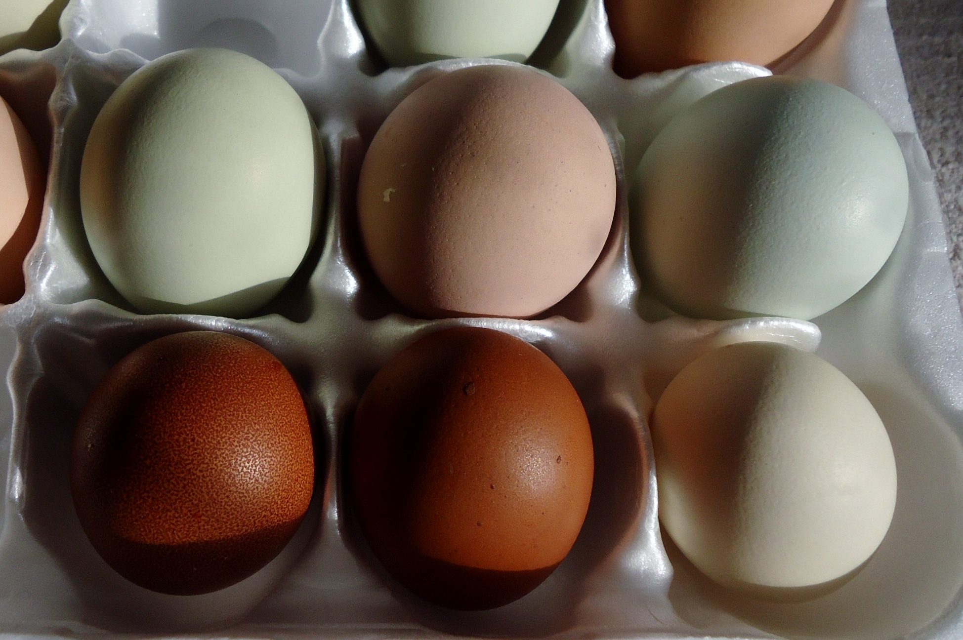 wendy's eggs