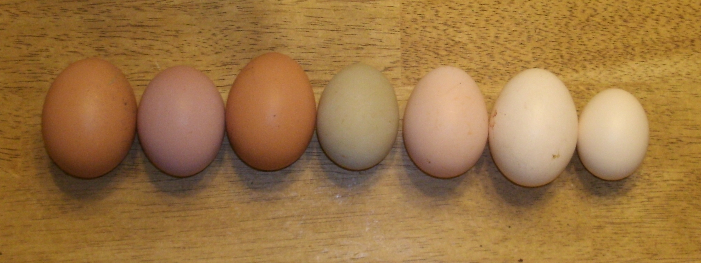 We're already getting these nice pink eggs but now purple too?