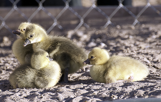 We're done for the morning