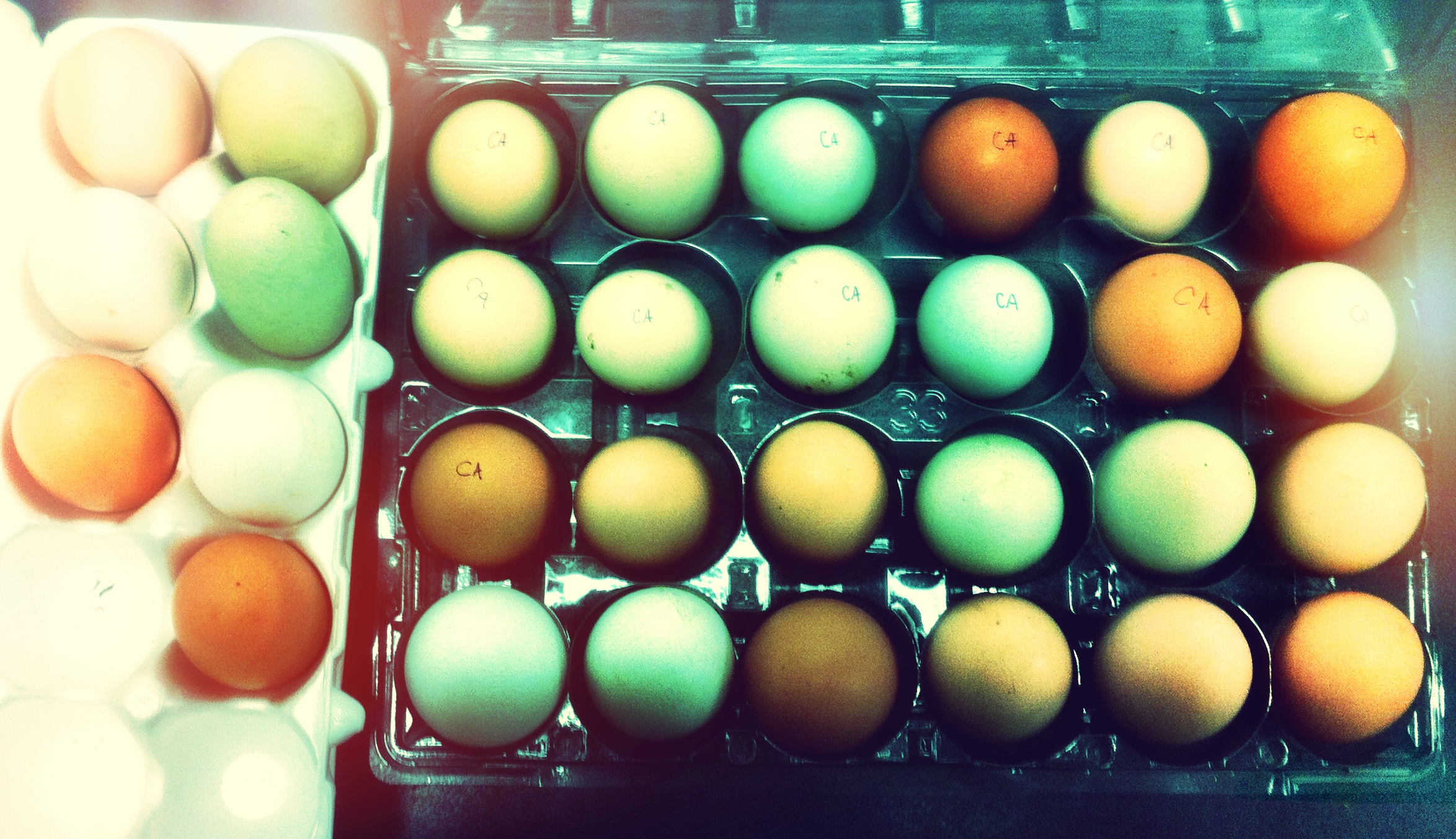 We're setting 30 eggs!