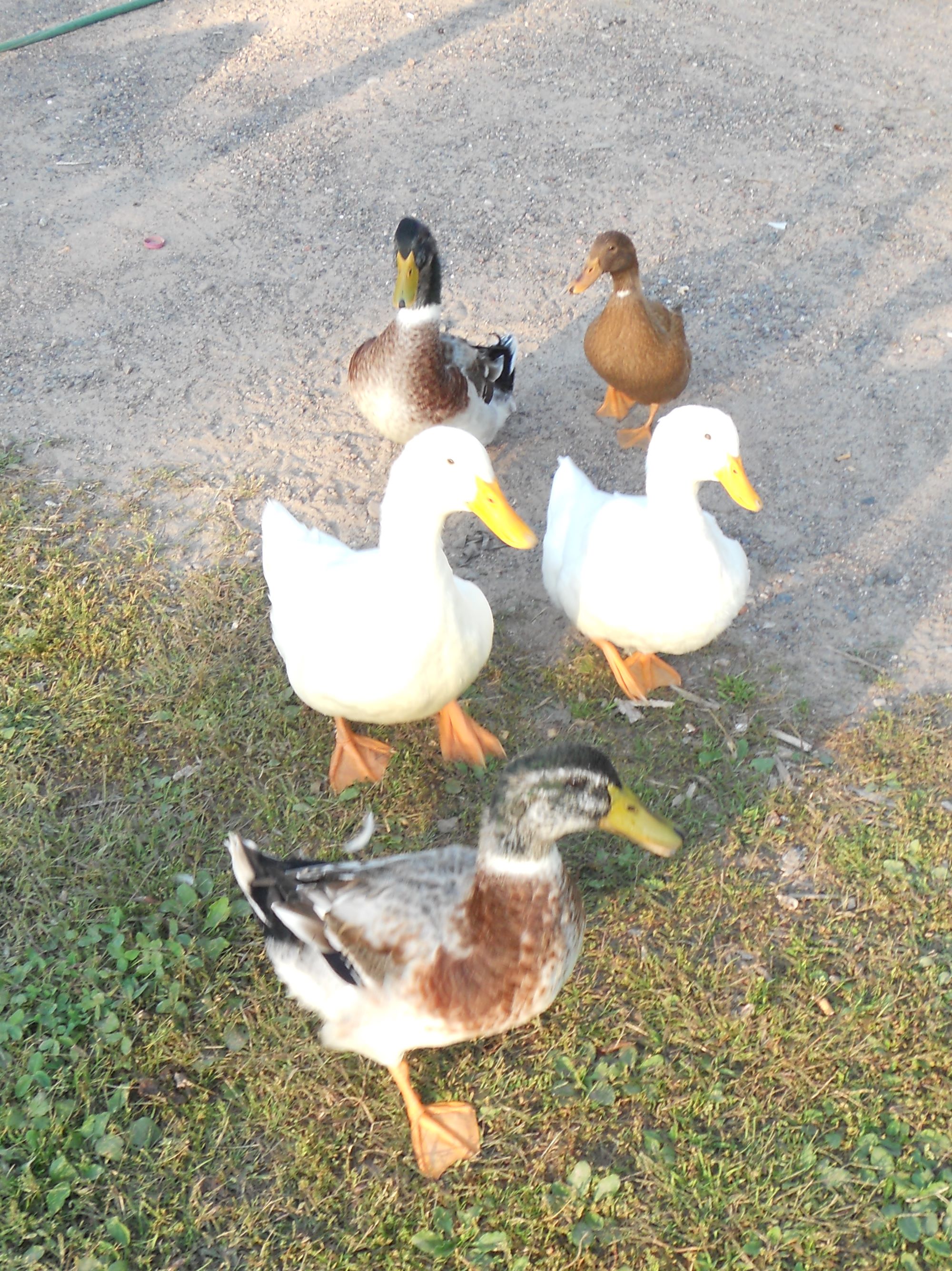 we're stalking you, Mom!