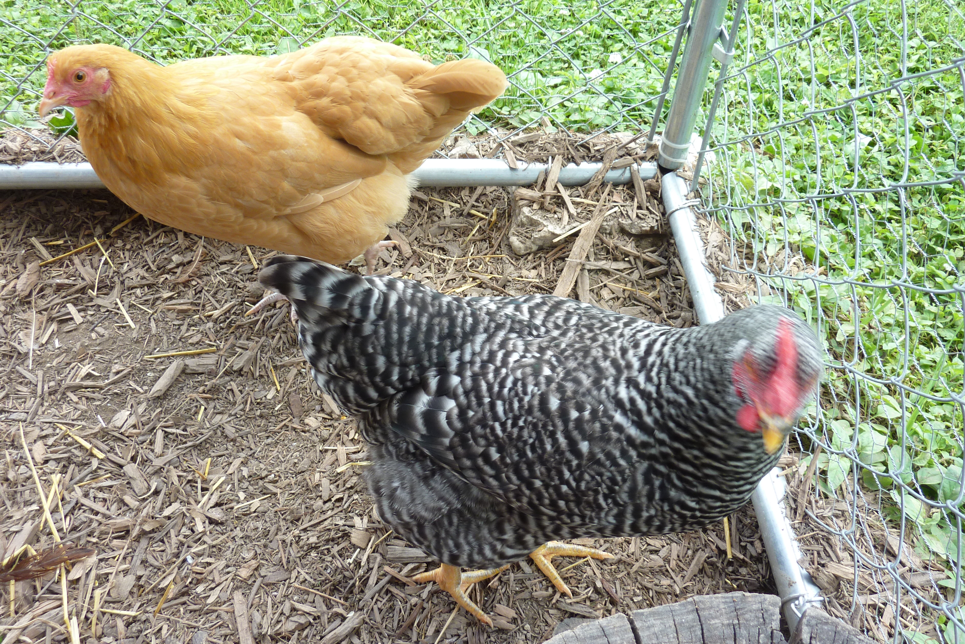 We're Waiting.........