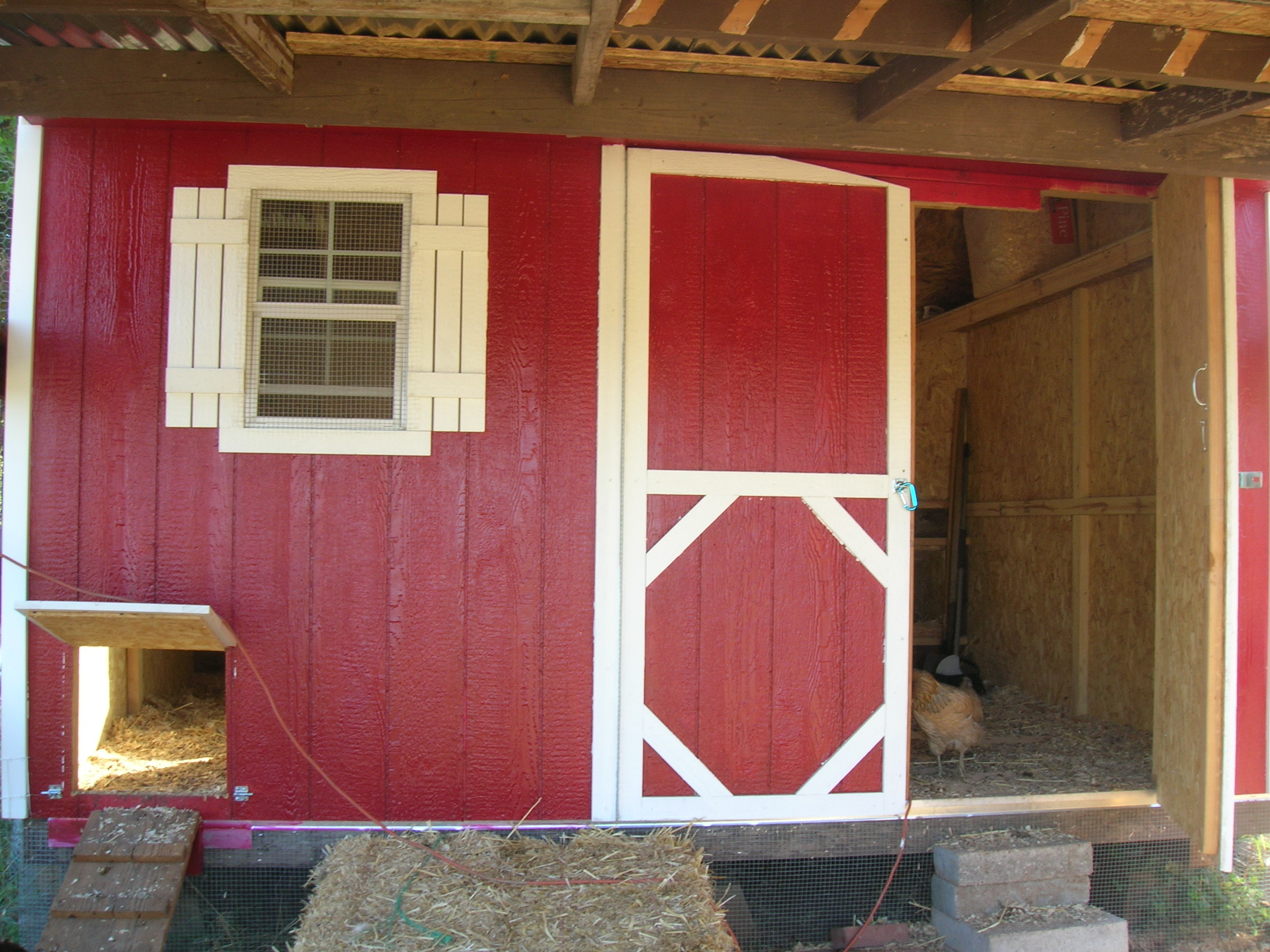 West view of the coop.  Note the 'slice' out of the man door in the upper RH corner of the door.  This is clearance for the roof of the porch.  My friends at work think I'm insane...