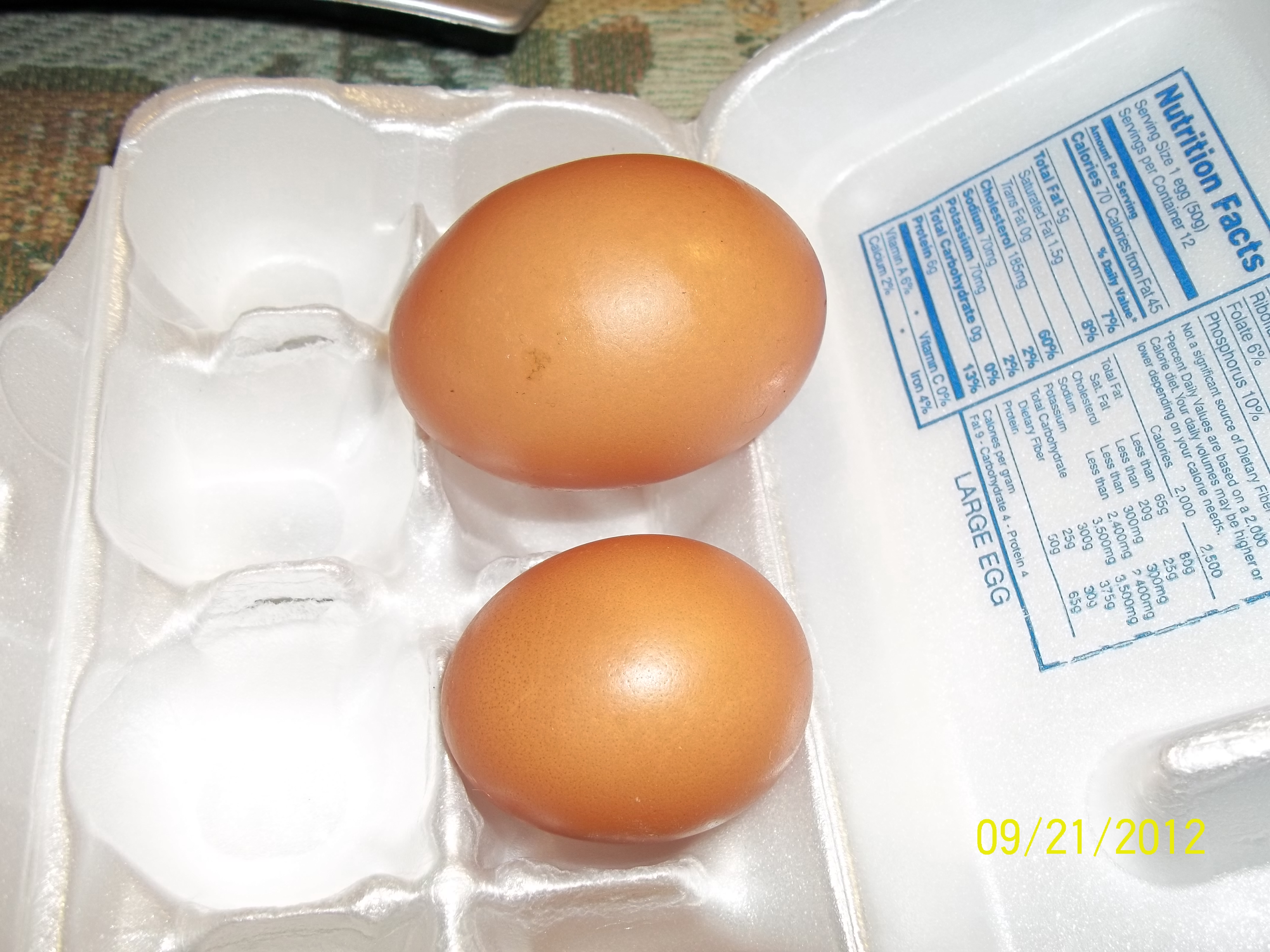 what a egg