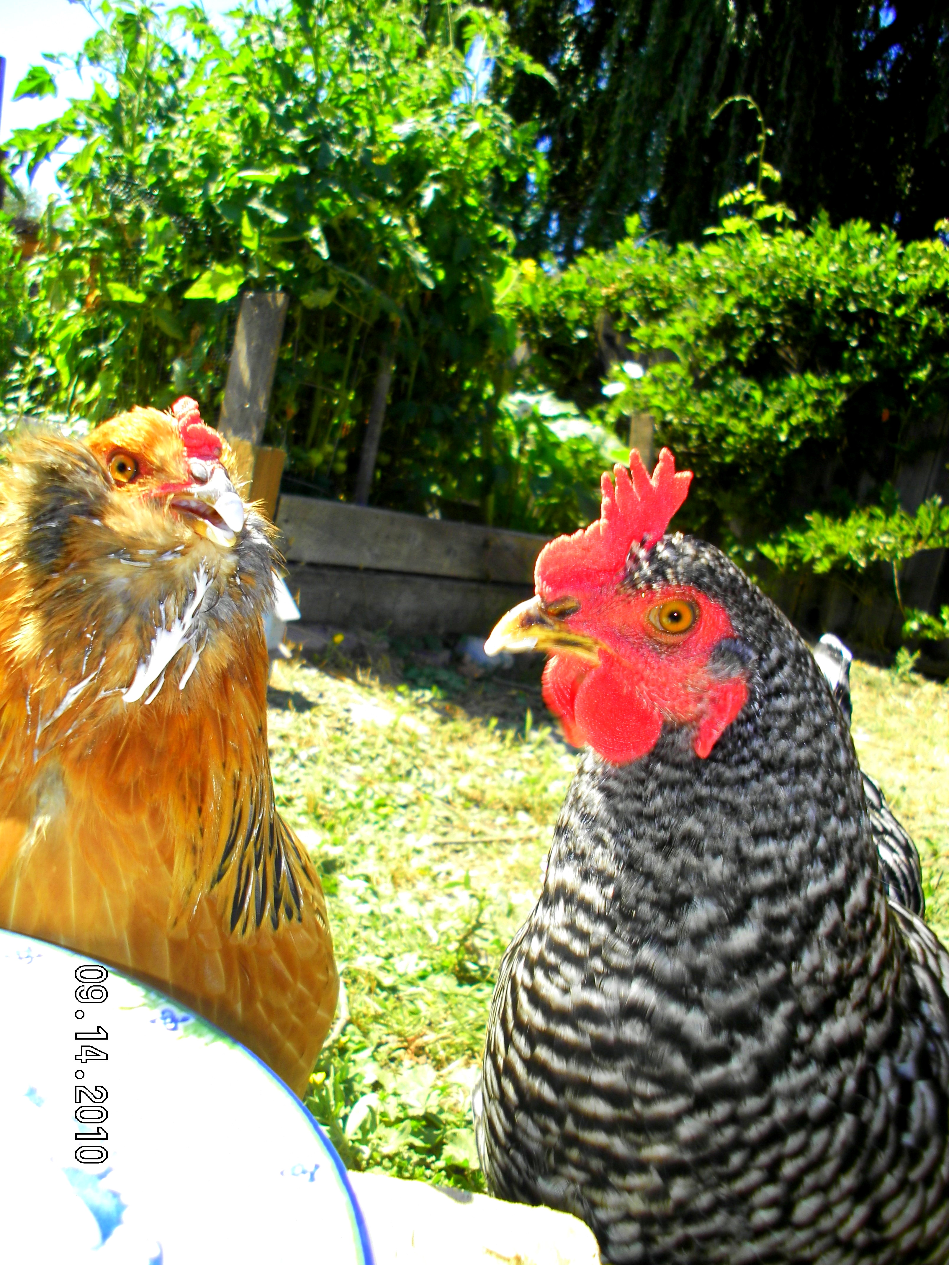 "What bad manners..."