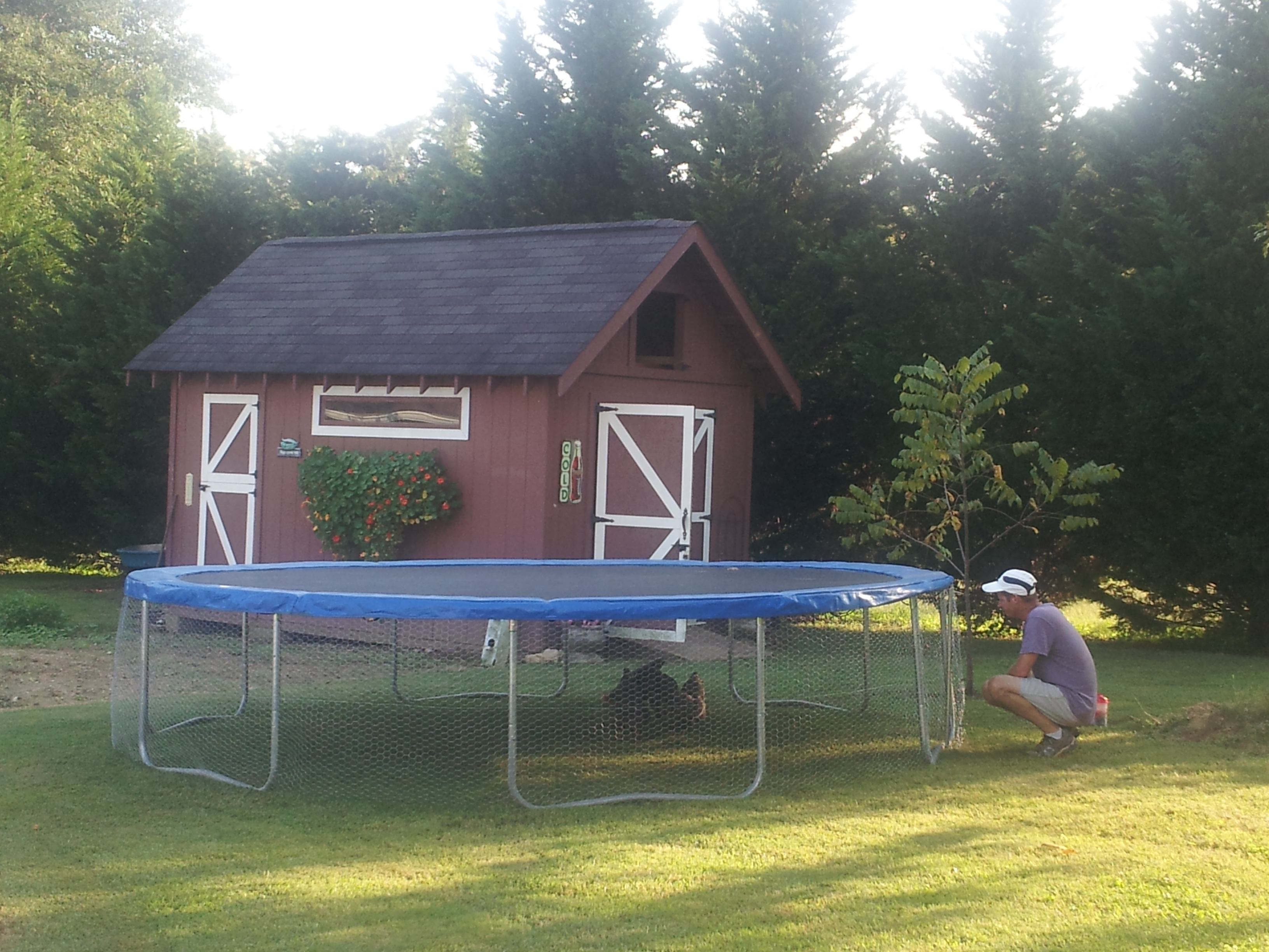 What do you do with a little used trampoline when the girls want out to play? Make a run. Necessity is the mother of invention!