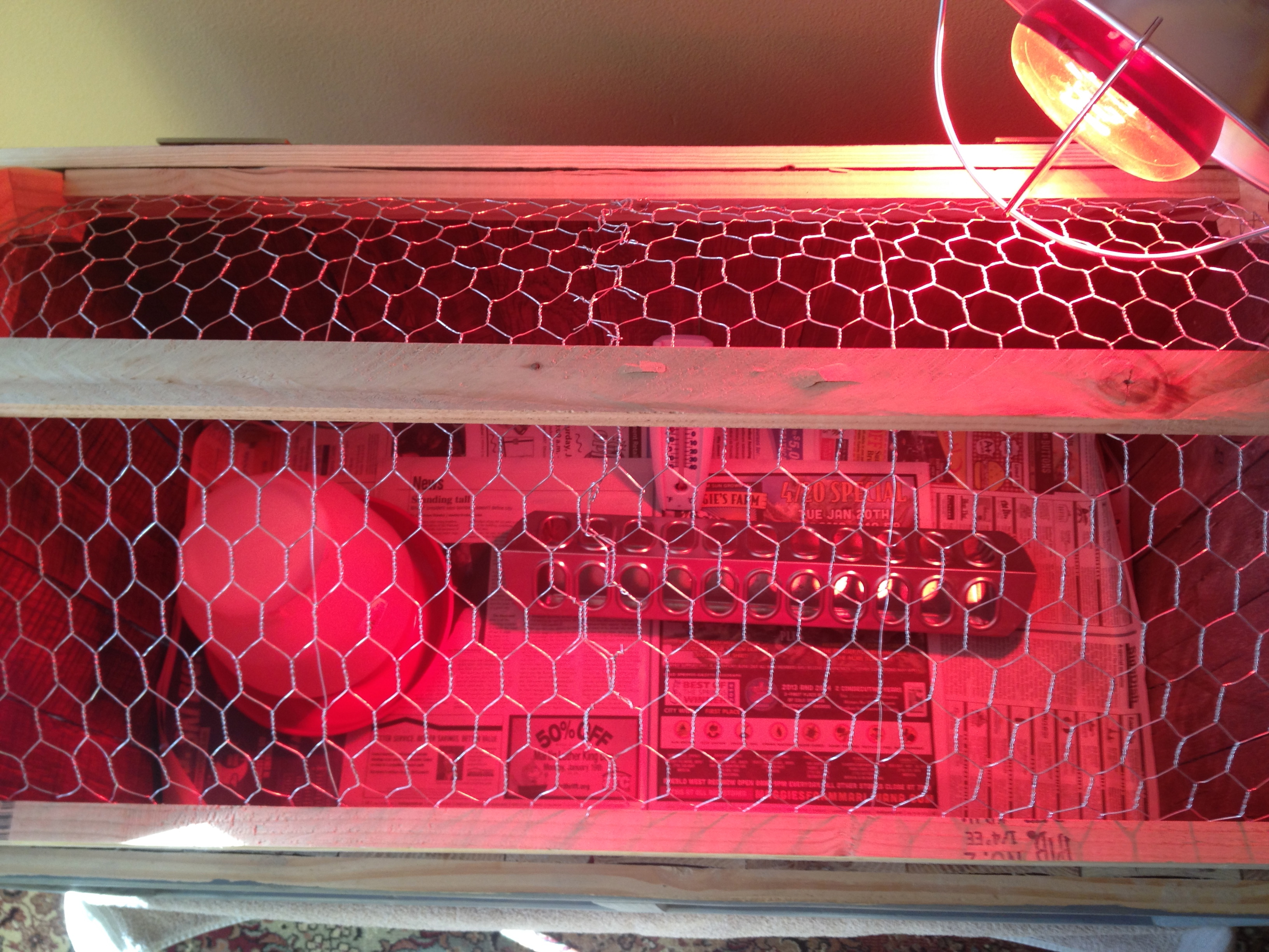 What is missing? 
Water Can
Feeder
Light
Thermometer
We have the feed, and wood shavings… What else?