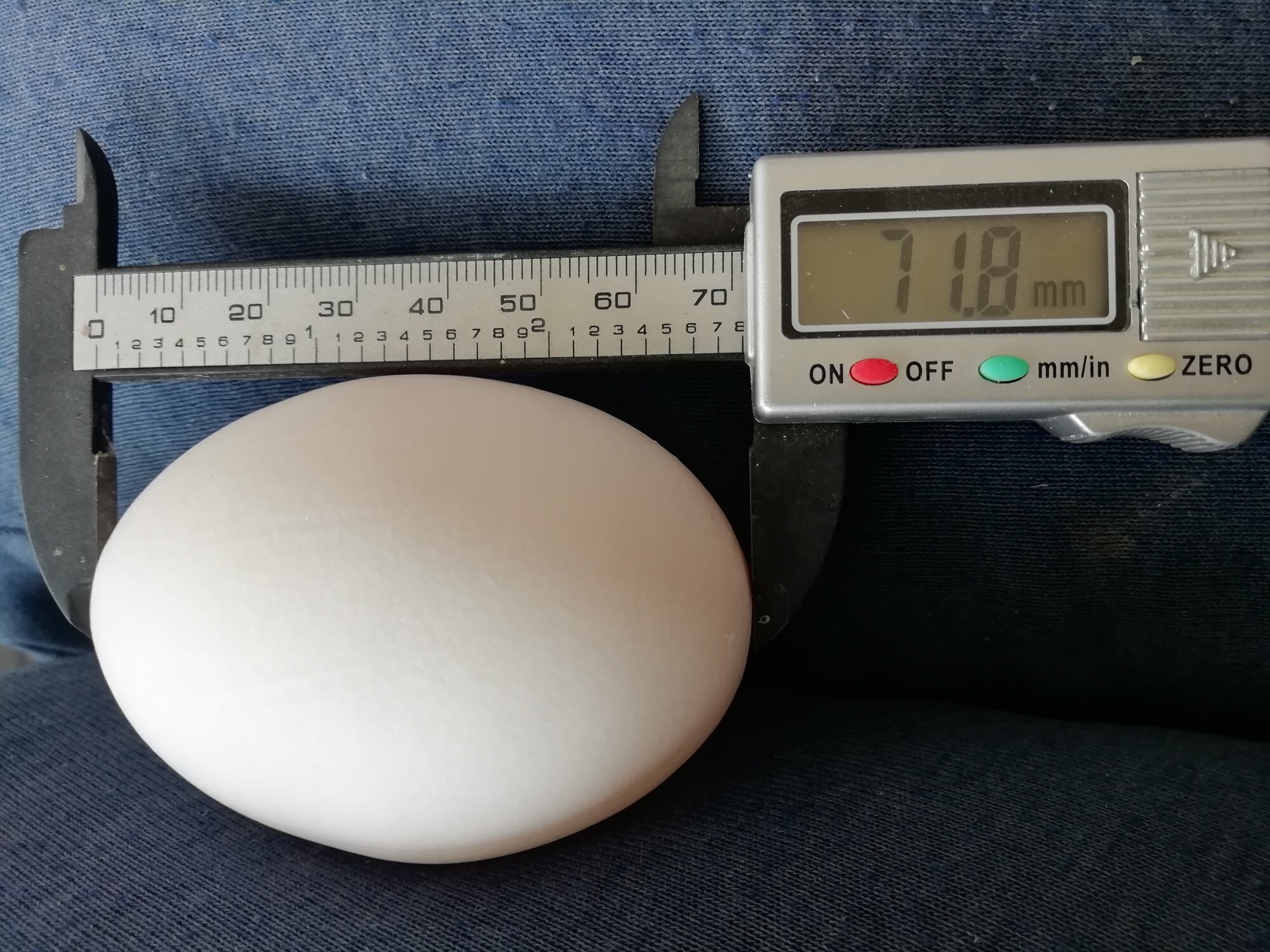 What size is this egg?