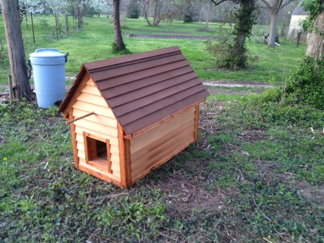What the new coop started with. I built a few years ago for 2 hens.