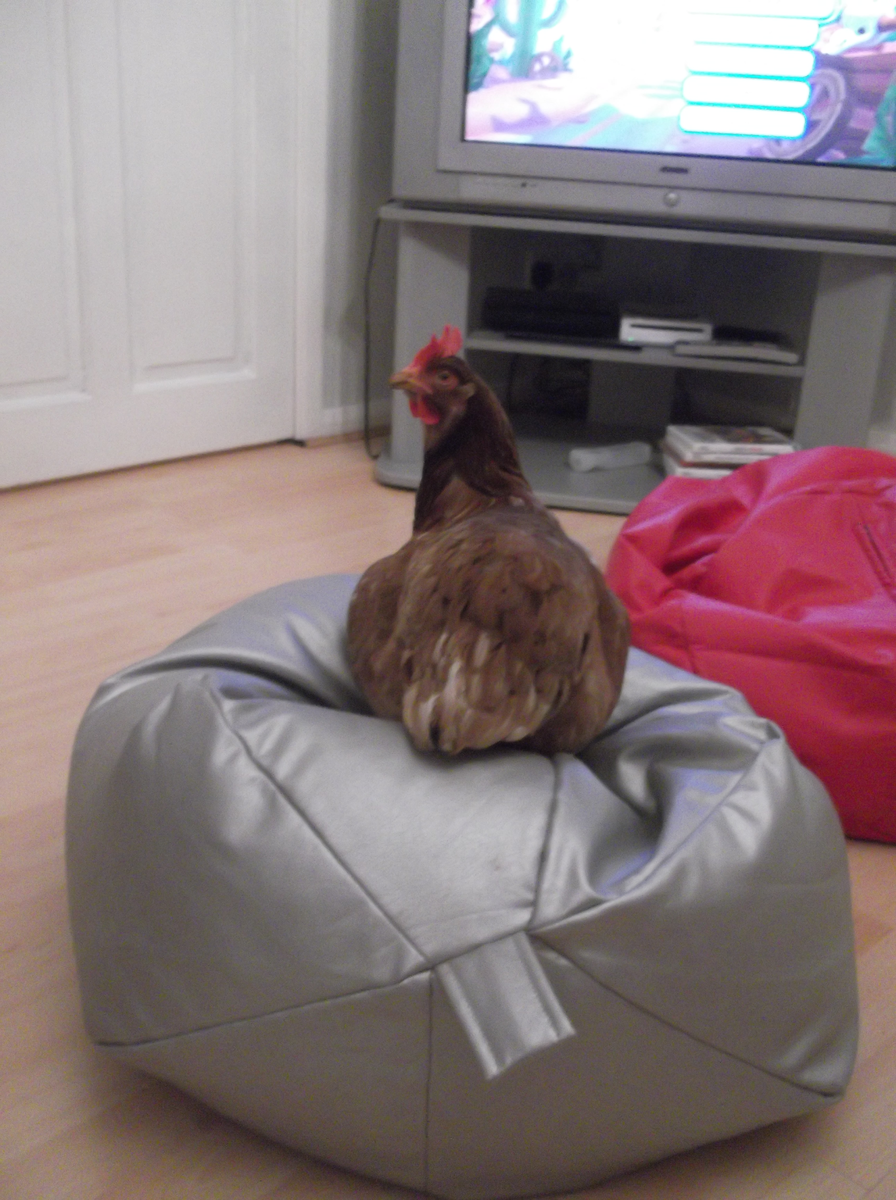 What? this is my spot!