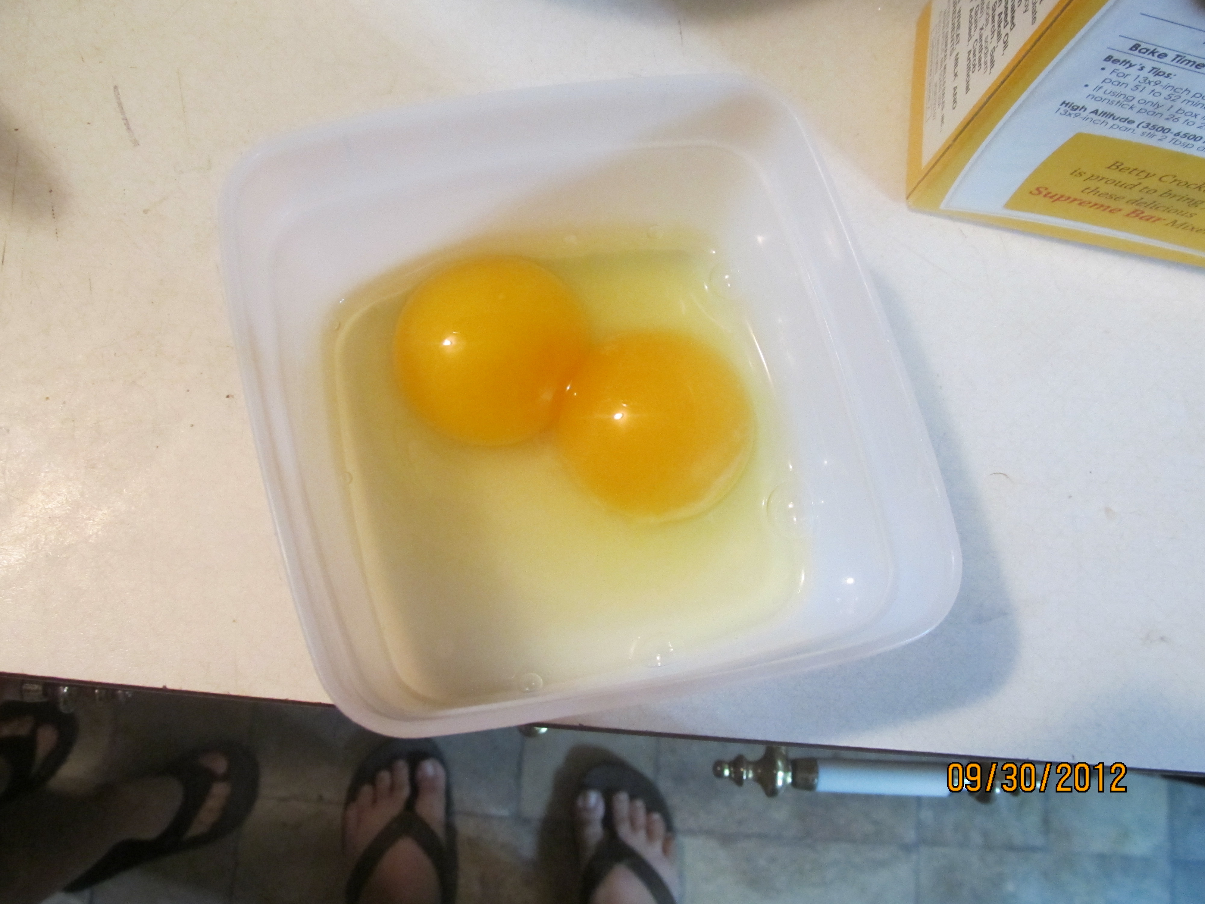 What was in the huge egg.