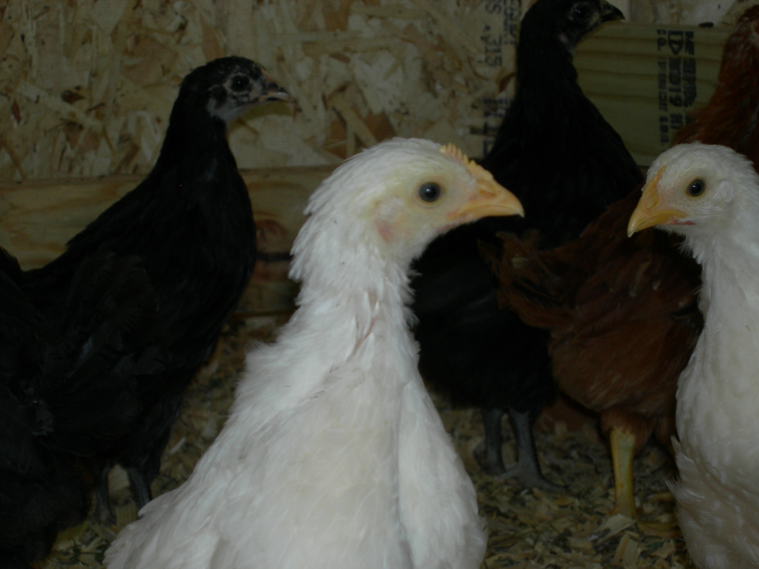 What was that sound?