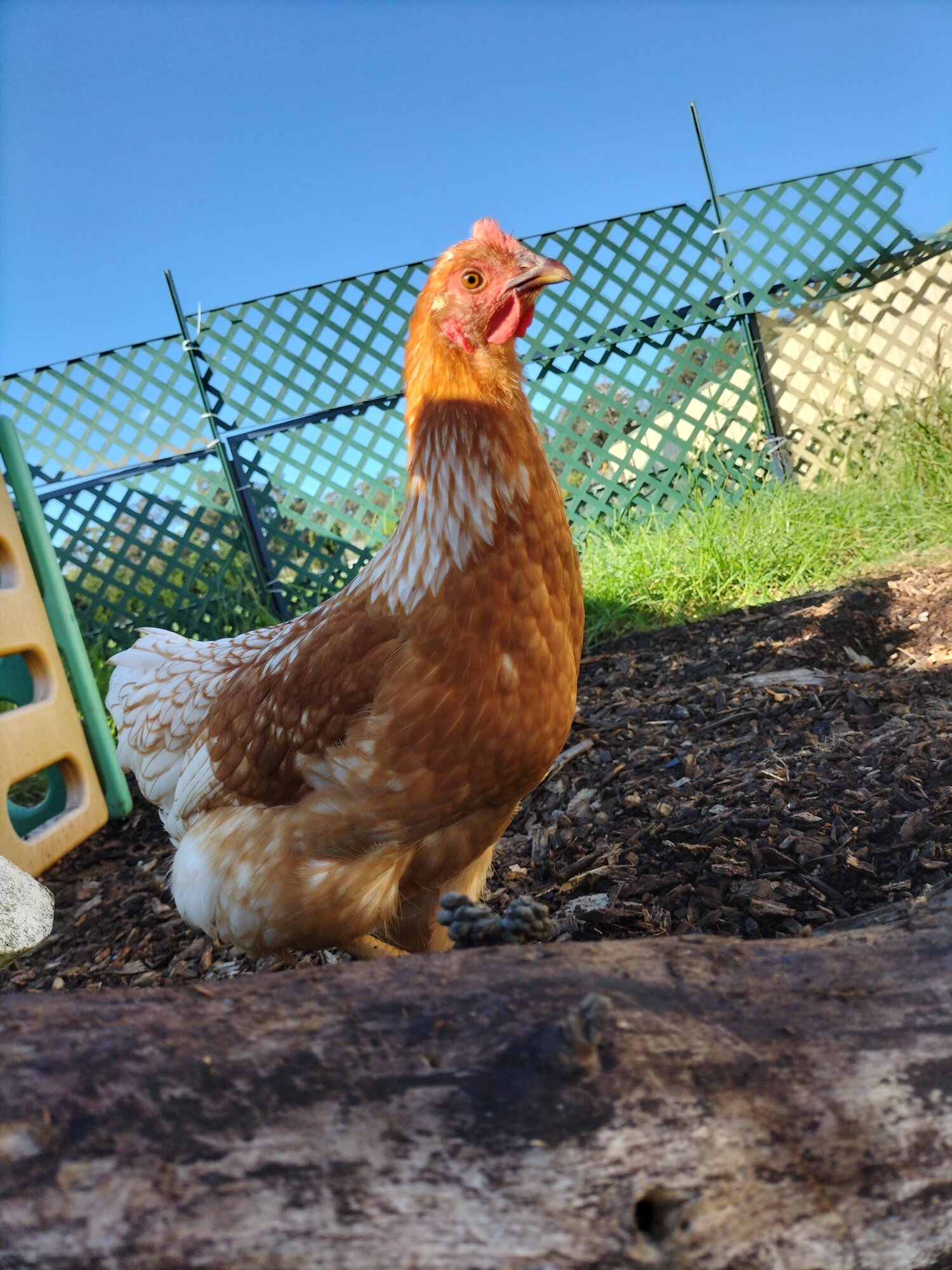 What you got there?