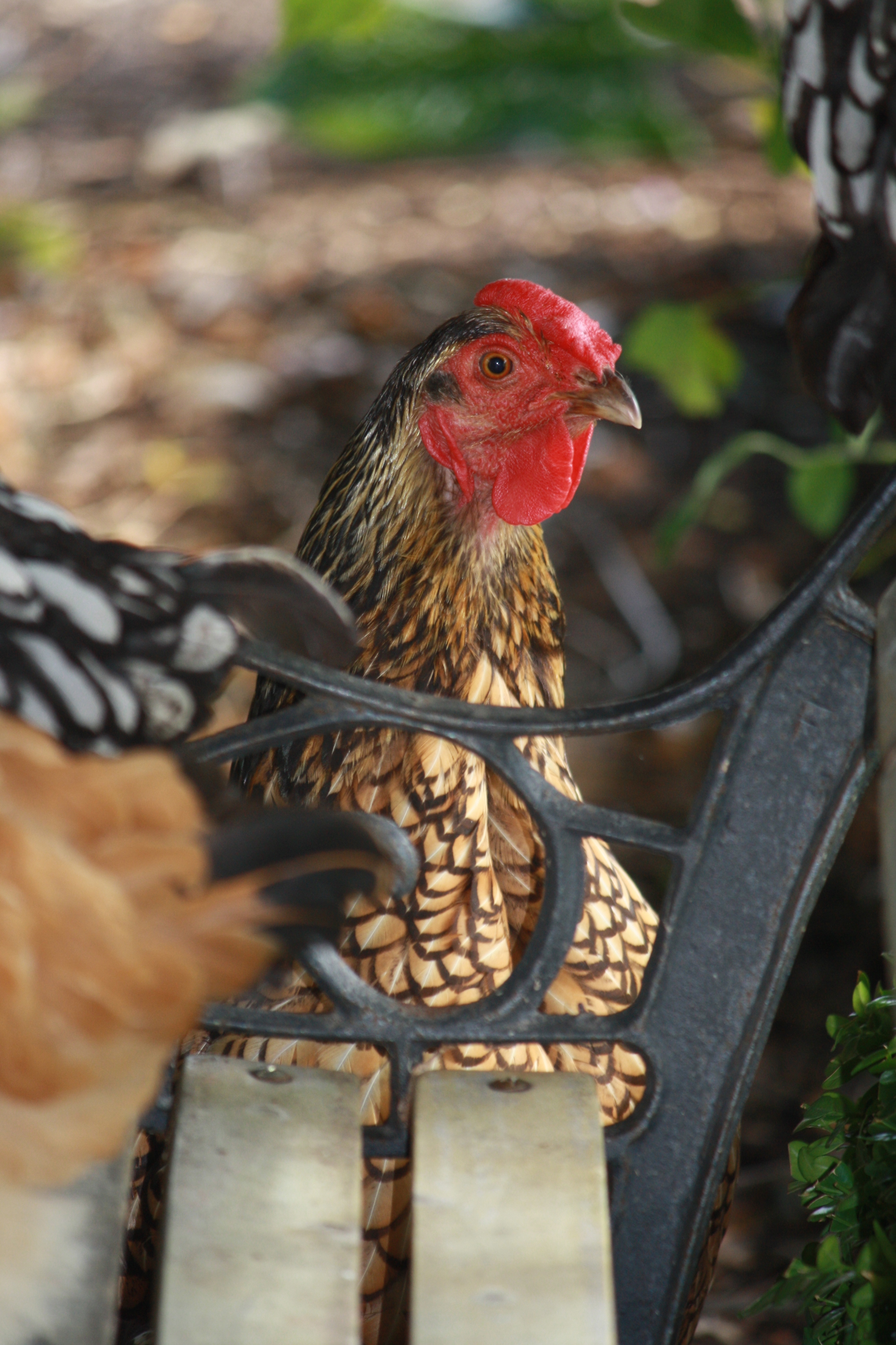 What you looking at Willis ?