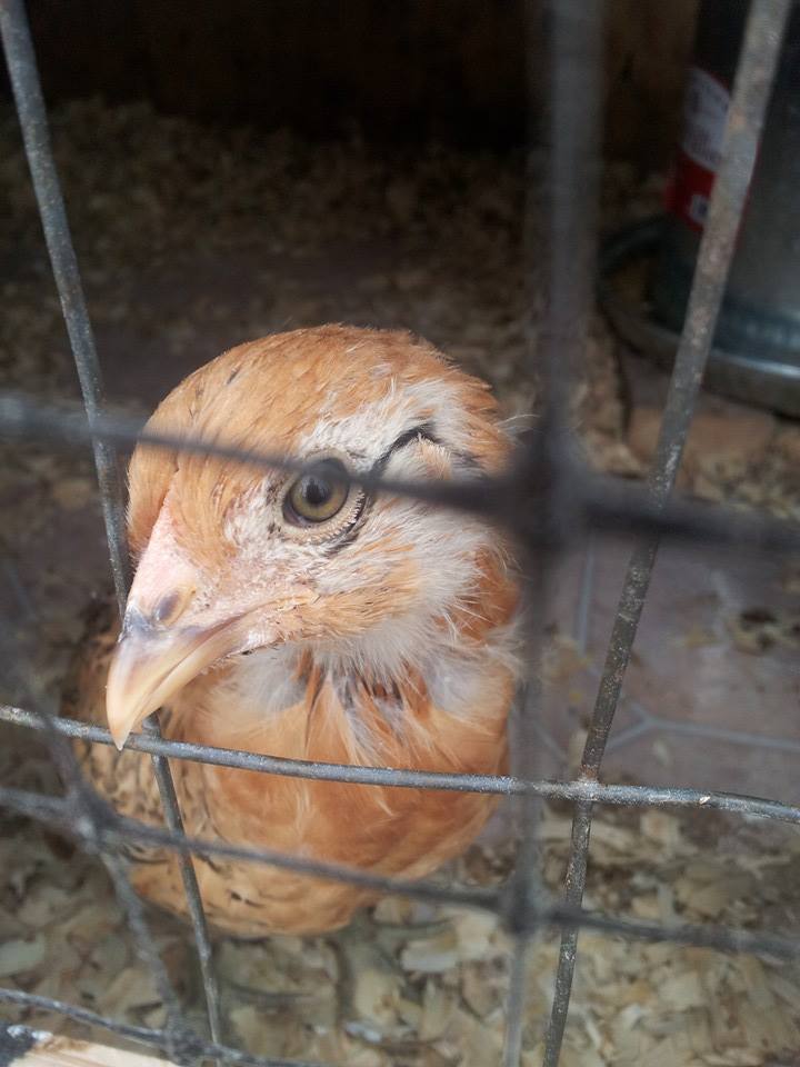 Whatcha doing there?